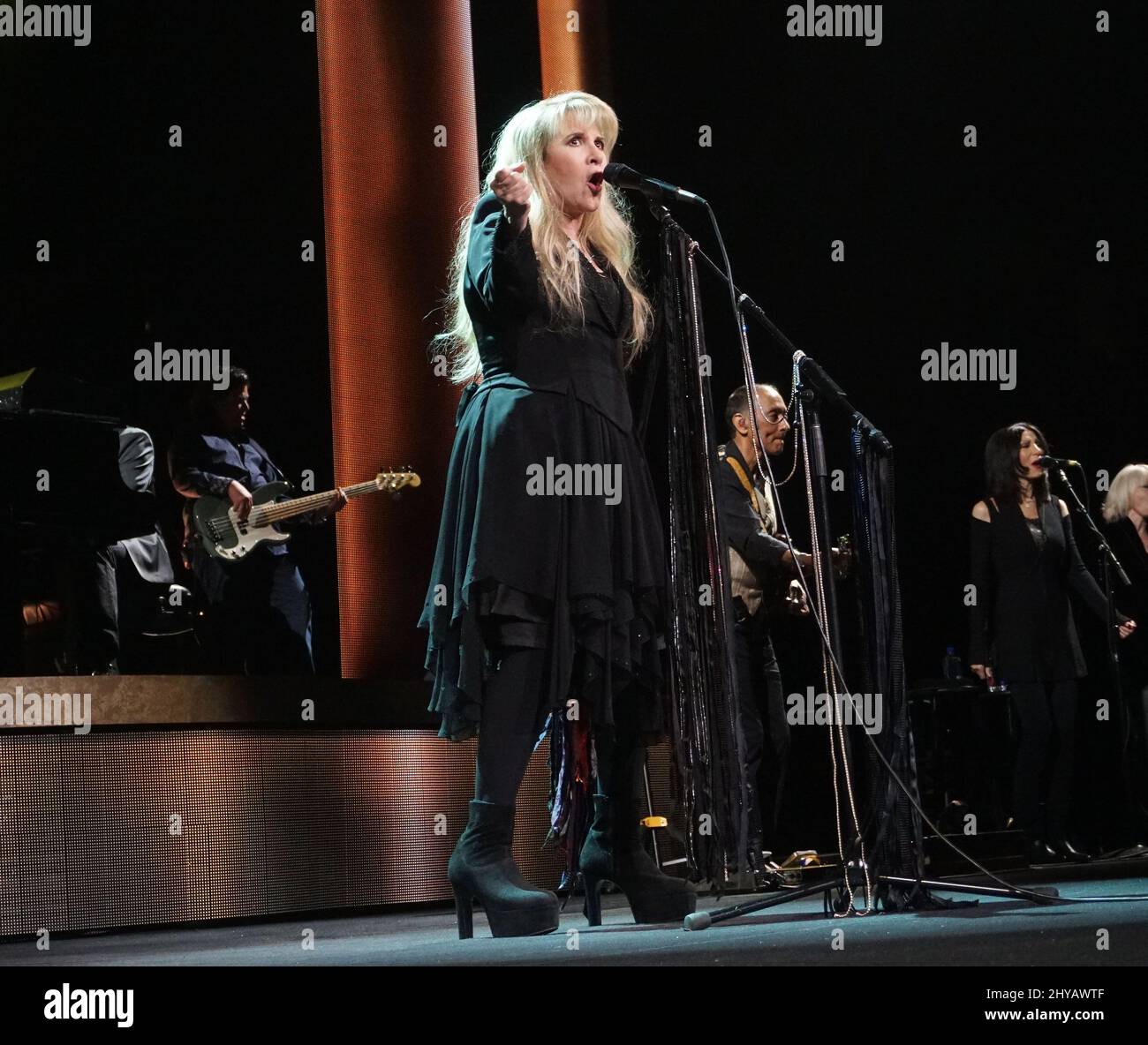 Stevie Nicks performing at the opening night of hometown girl Stevie