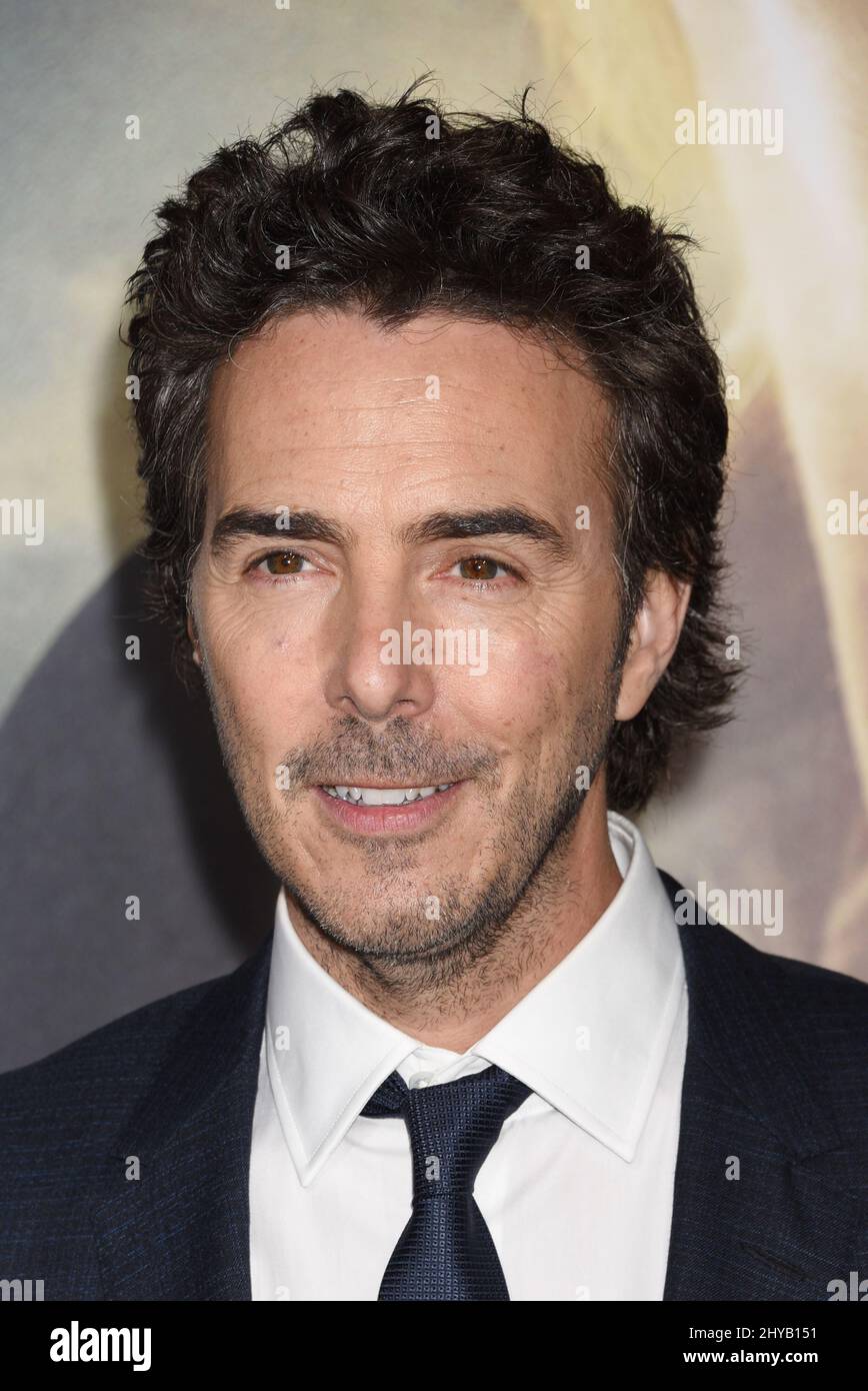 Shawn Levy arrives at the LA Premiere of 'Arrival' at the Regency Village Theatre on Sunday, Nov. 6, 2016, in Los Angeles. Stock Photo