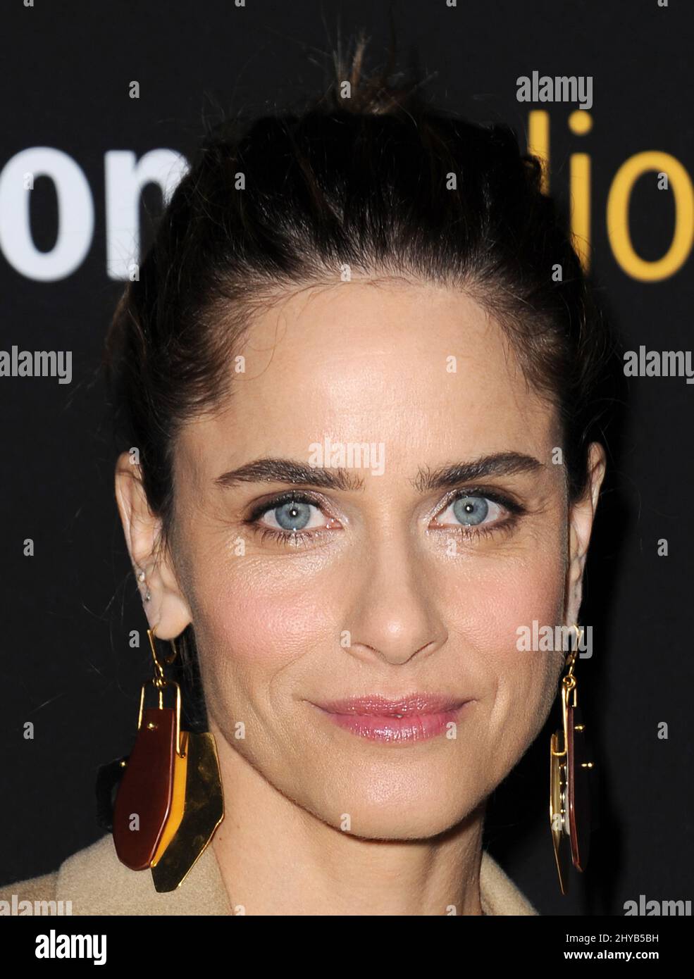 Amanda Peet attending the Los Angeles Premiere of 'Manchester By The
