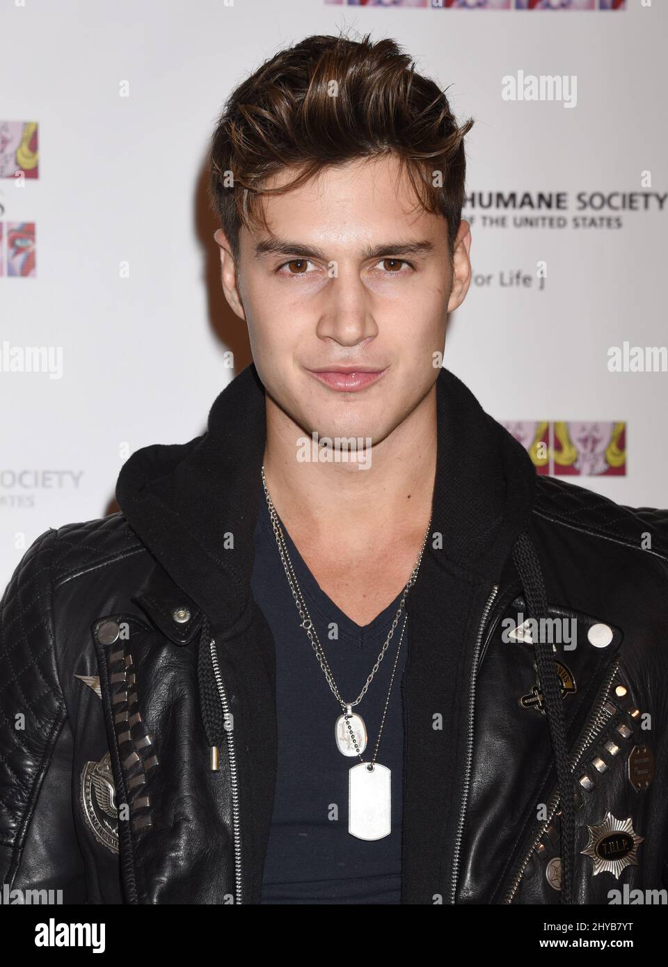 Fede Dorcaz attending the 'SUBCONSCIOUS' by Bria Murphy gallery opening benefitting the Humane Society held at the LACE Gallery in Los Angeles, USA. Stock Photo