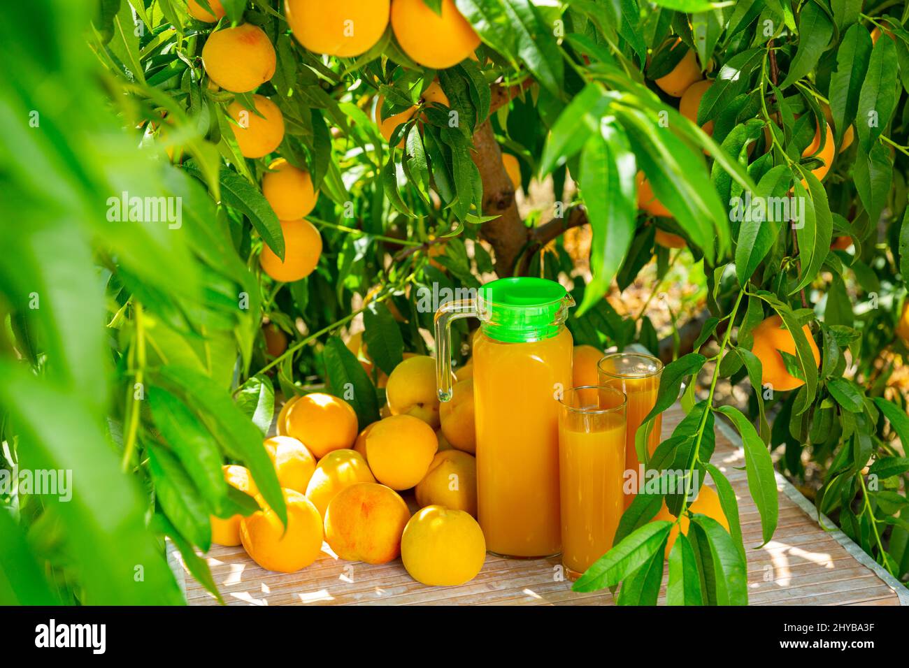Freshly squeezed apricot juice hi-res stock photography and images - Alamy