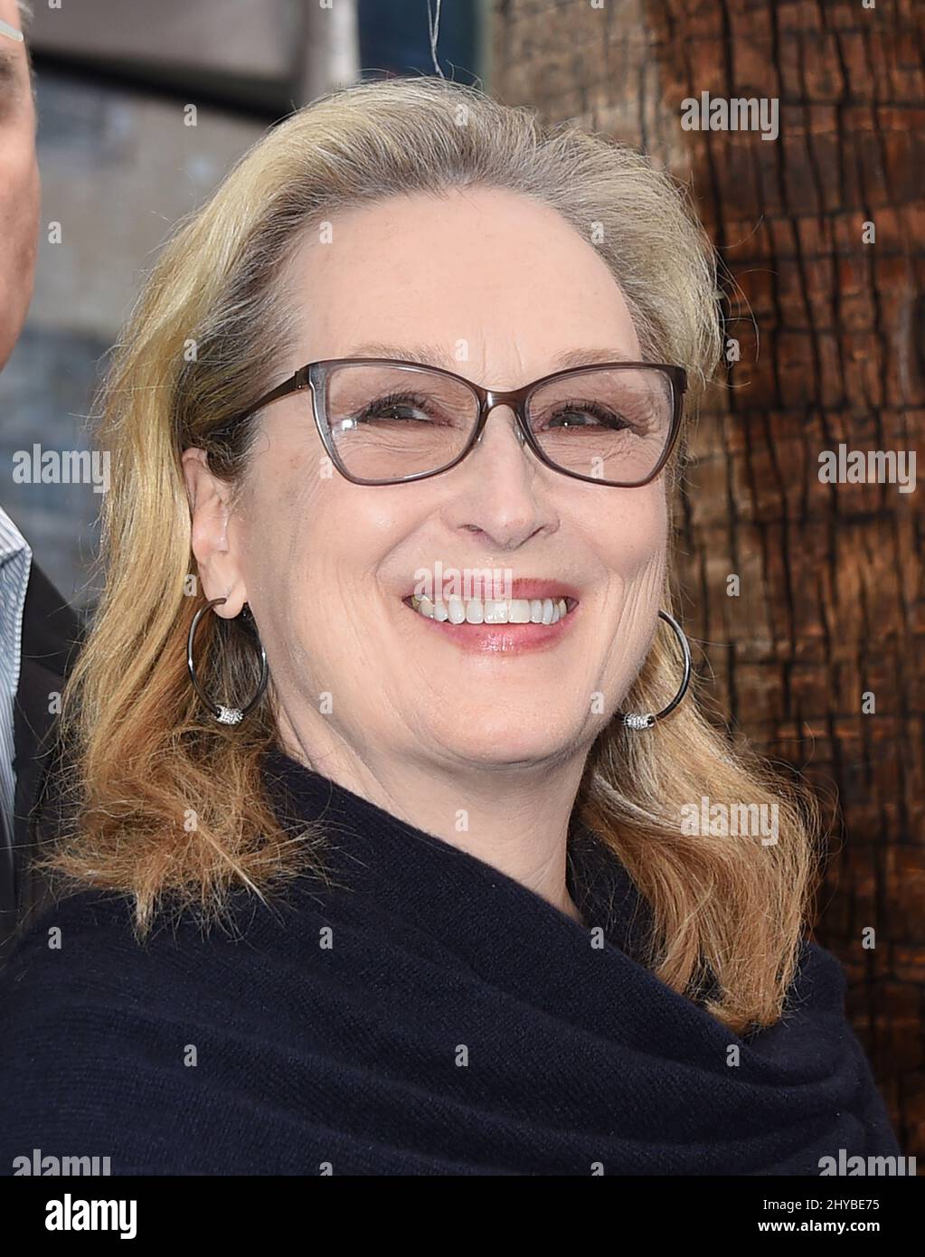Meryl Streep at the Viola Davis Star on the Hollywood Walk of Fame
