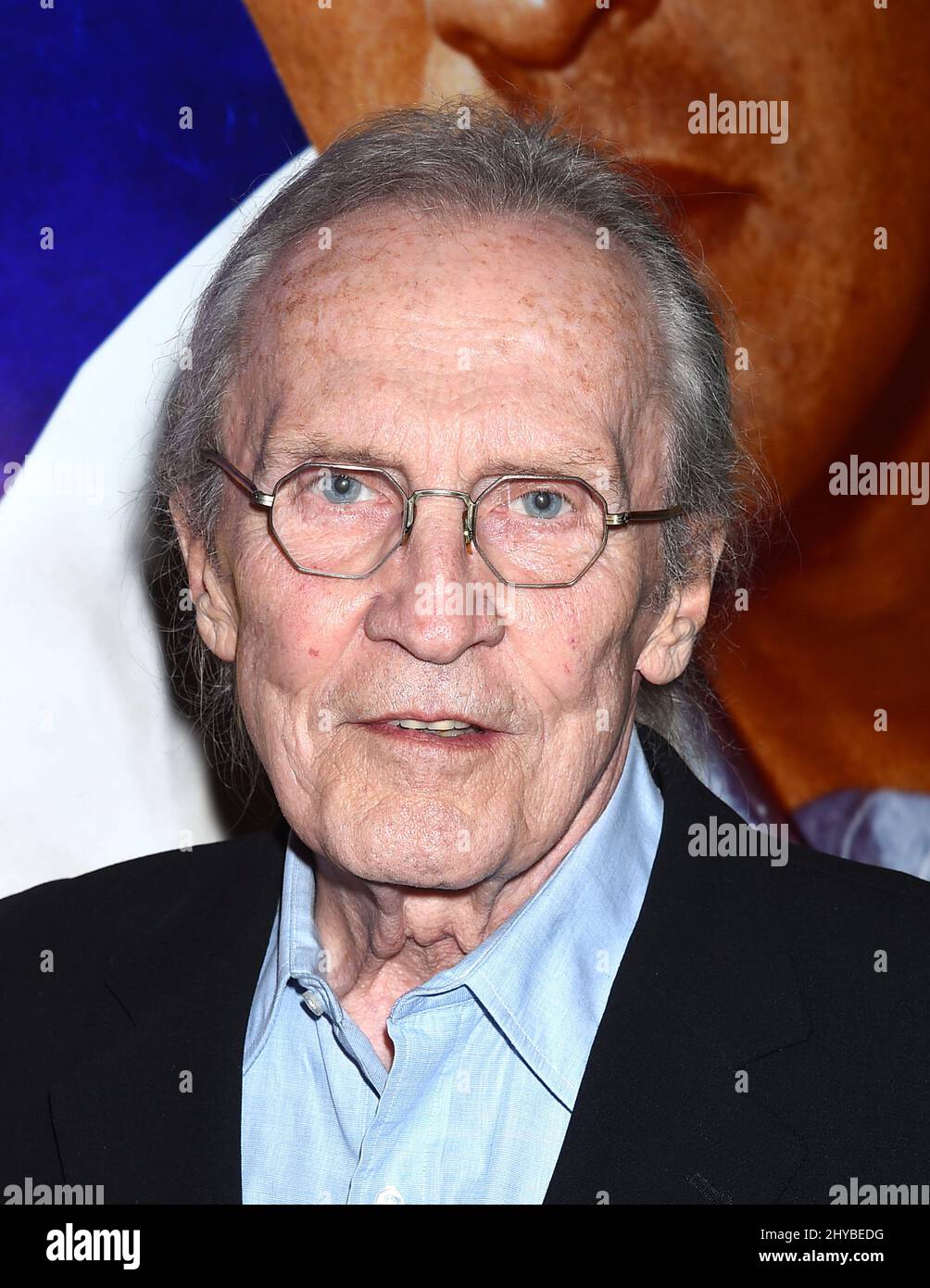 Roy Thinnes at The Hollywood Show, where fans meet their favorite stars