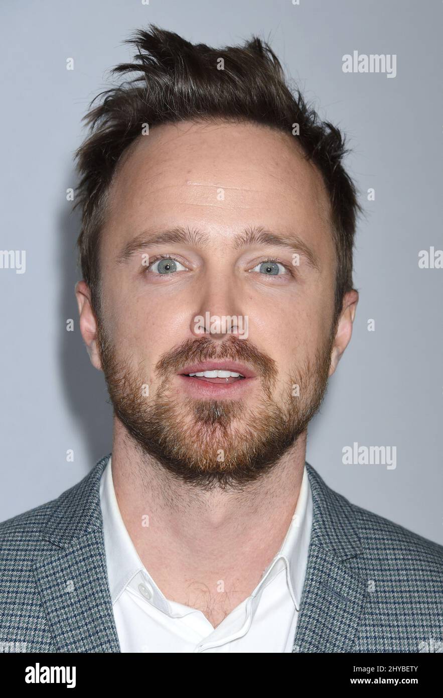 Aaron Paul attends Hulu's TCA All Stars Party held at the Langham Huntington Hotel Stock Photo