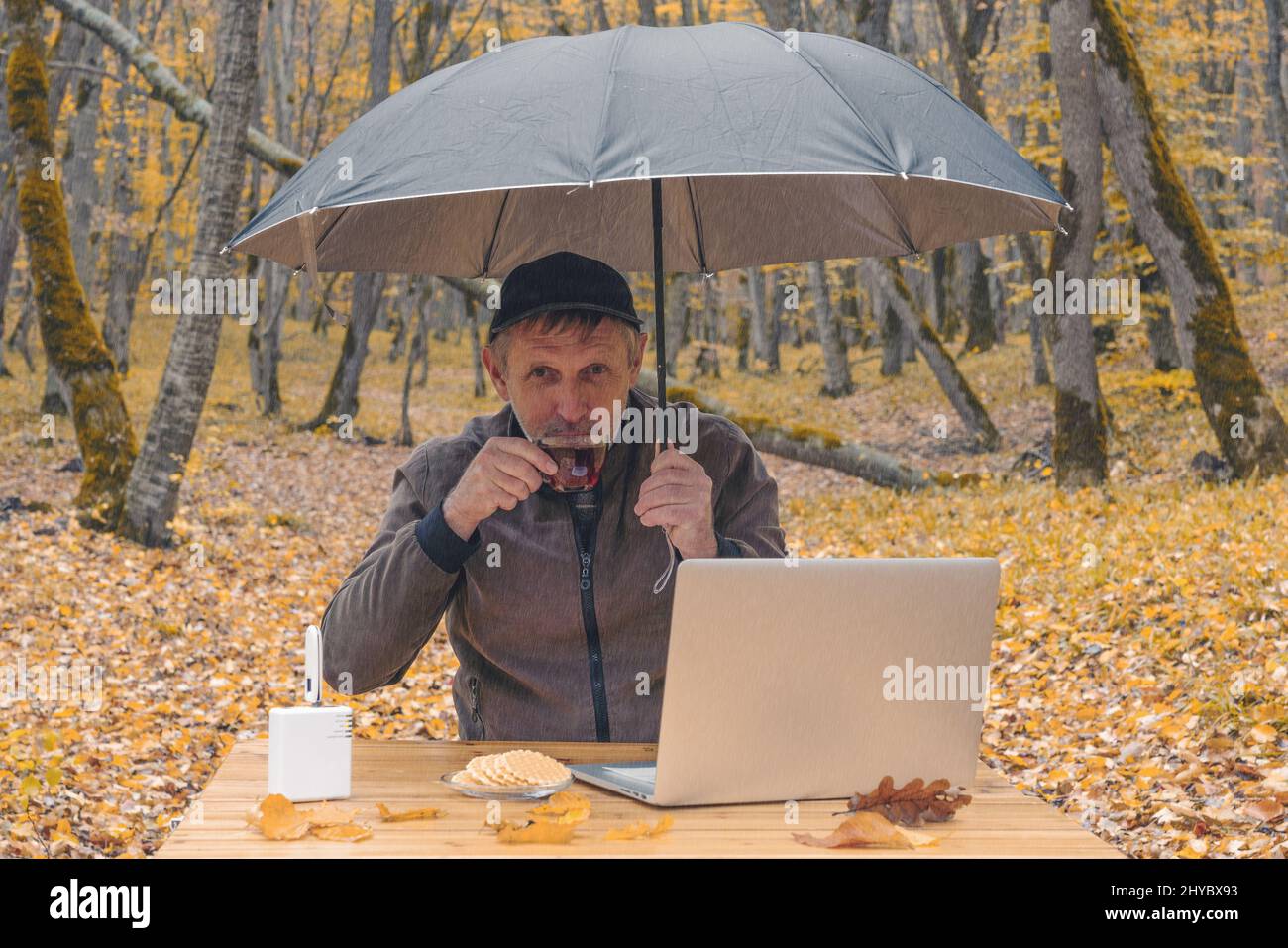Freelancer works with a laptop in outdoor office and drinks tea during a break Stock Photo