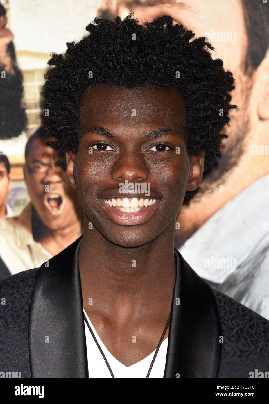 Tim Johnson Jr attending the 'Fist Fight' World Premiere held at the Regency Village Theatre in Los Angeles, USA. Stock Photo