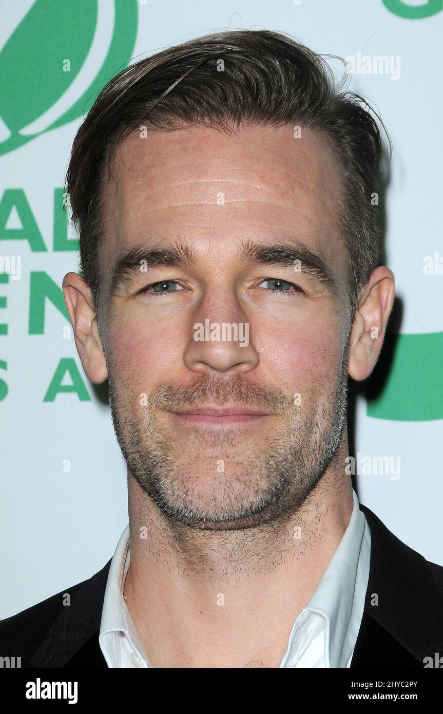 James Van Der Beek attending the 14th Annual Global Green Pre-Oscar Gala held at Avalon Hollywood, USA. Stock Photo