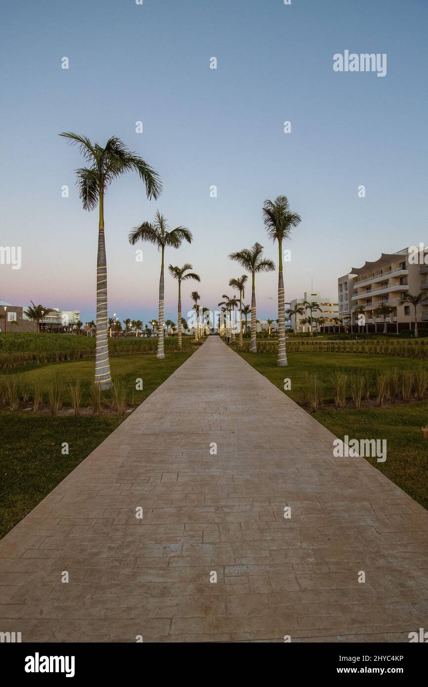 Vertical shot grass beach hi-res stock photography and images - Alamy
