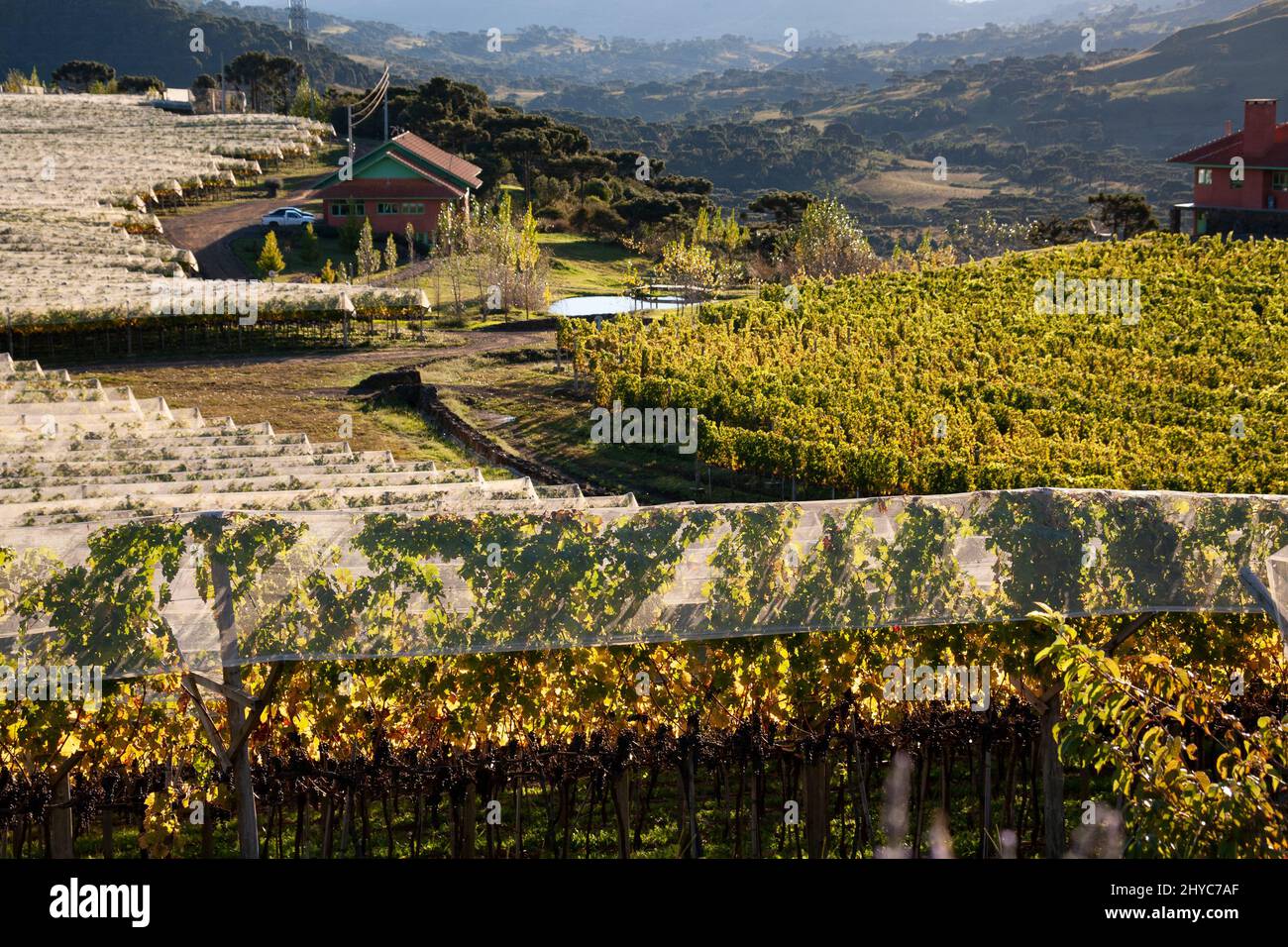 Villa francioni winery hi-res stock photography and images - Alamy
