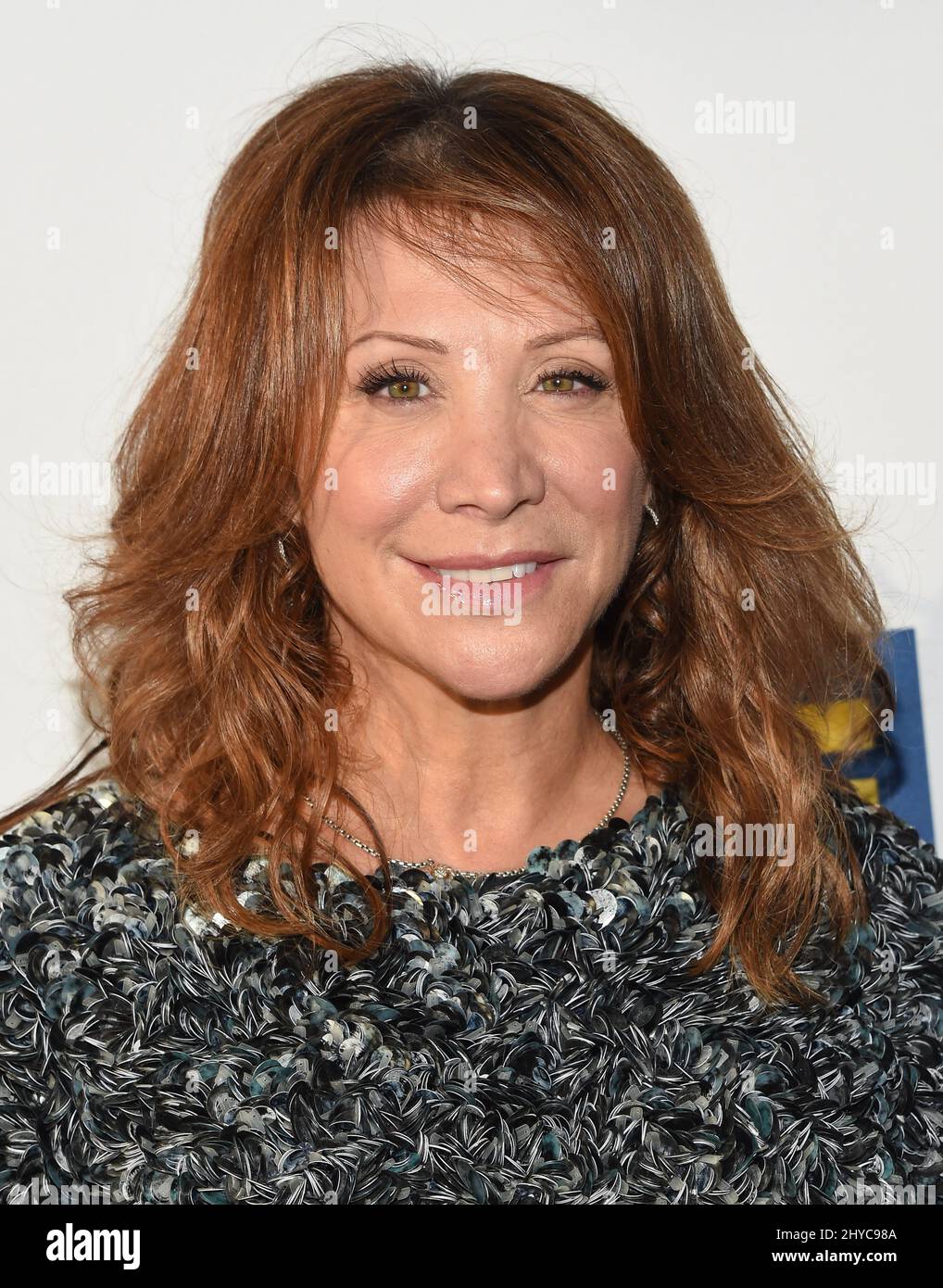 Cheri Oteri arriving to the Human Rights Campaign 2017 LA Gala held at ...