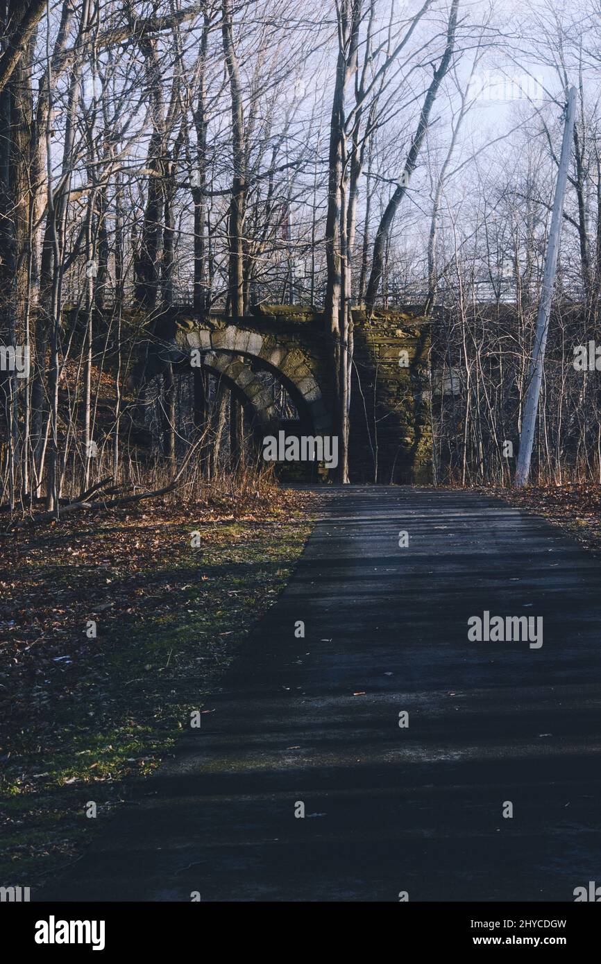 Vertical shot of road surrounded by trees Stock Photo - Alamy