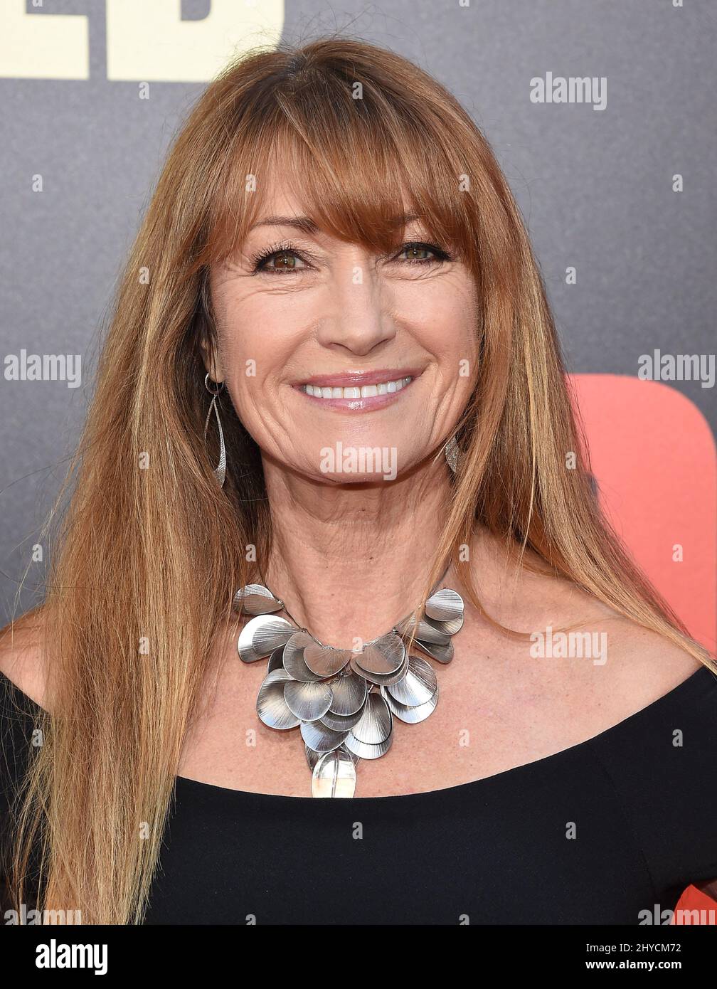 Jane Seymour 'Snatched' World Premiere held at the Regency Village Theatre Stock Photo