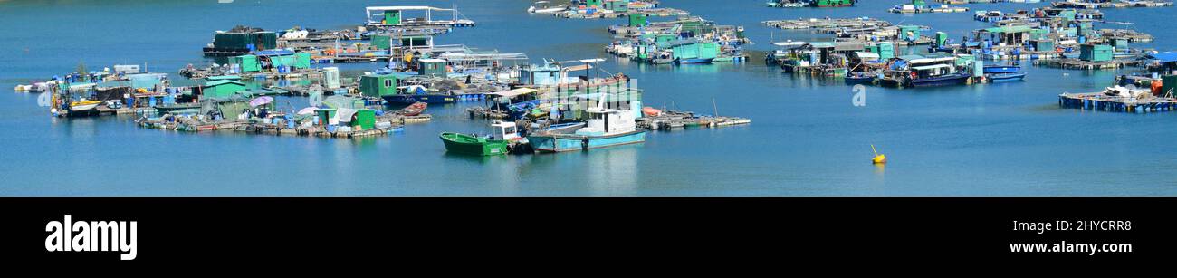 Aquaculture farms in Pichic Bay, Sok Kwu Wan, Lamma Island, Hong Kong. Stock Photo