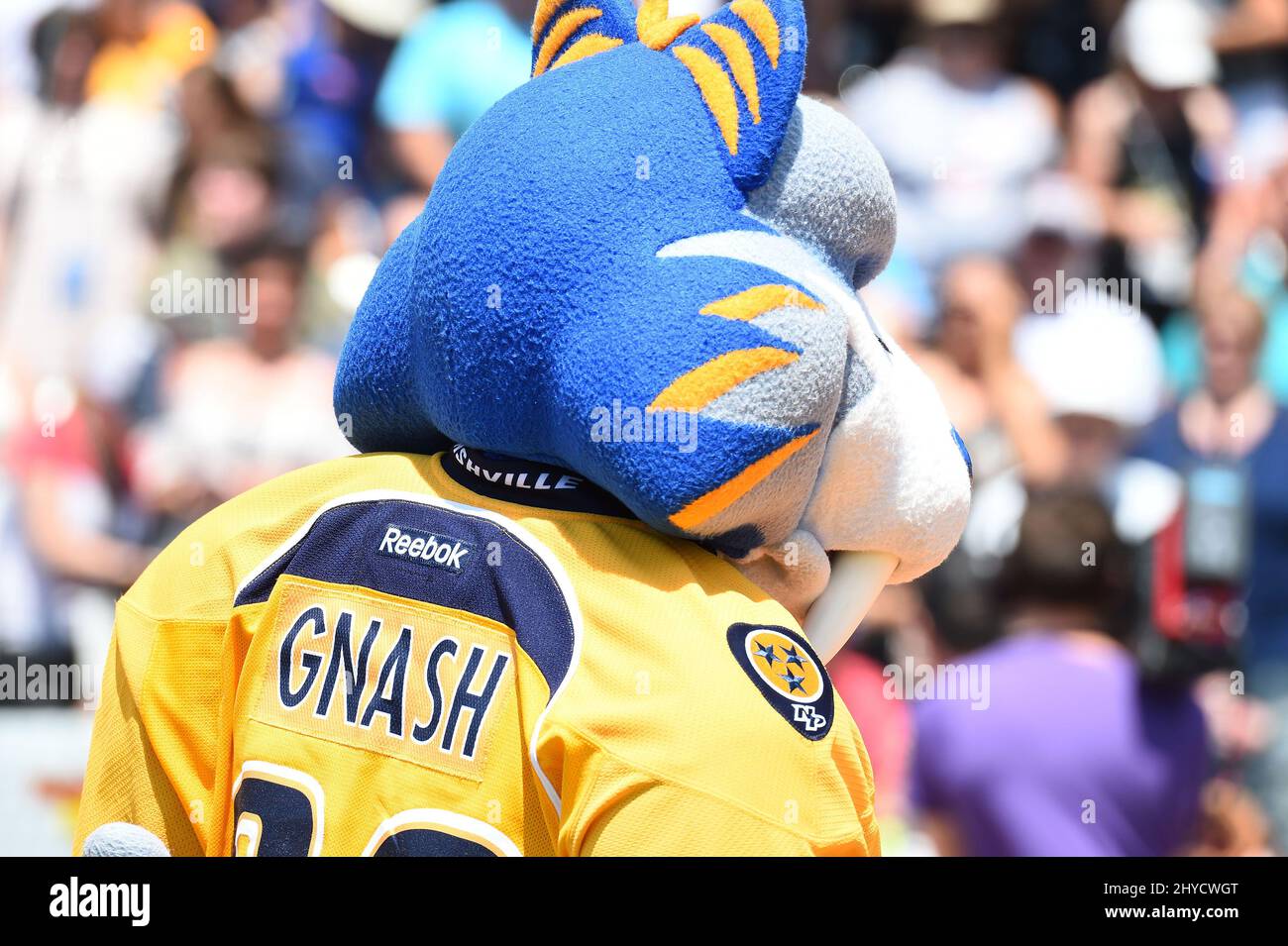 Mission In My Words: Gnash, Nashville Predators Mascot - Nashville Rescue  Mission