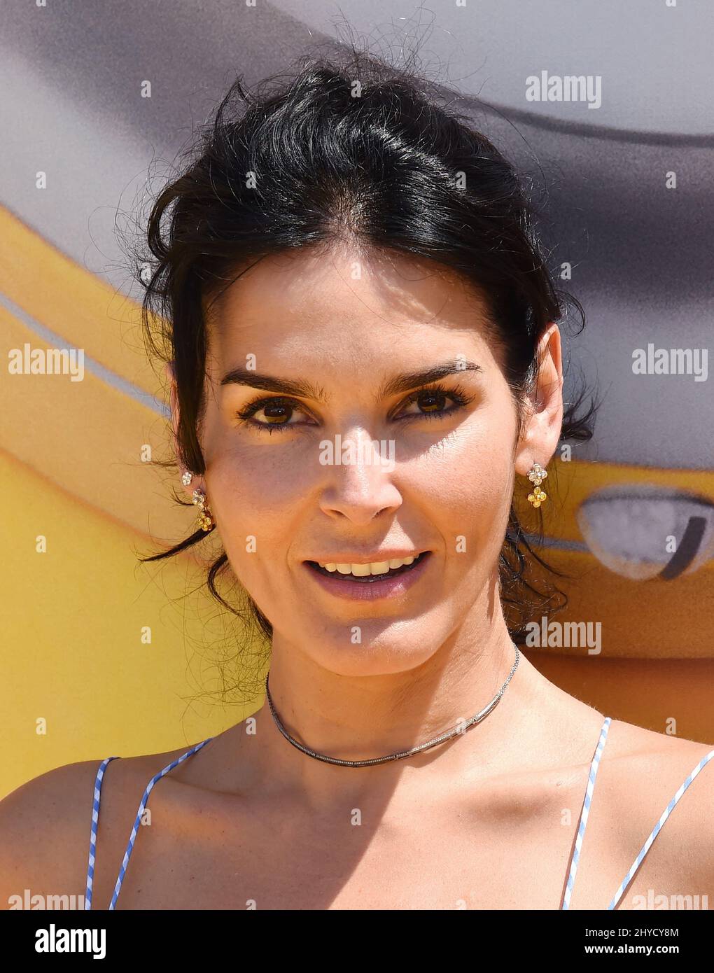Angie Harmon attending the premiere of Despicable Me 2 in Los Angeles
