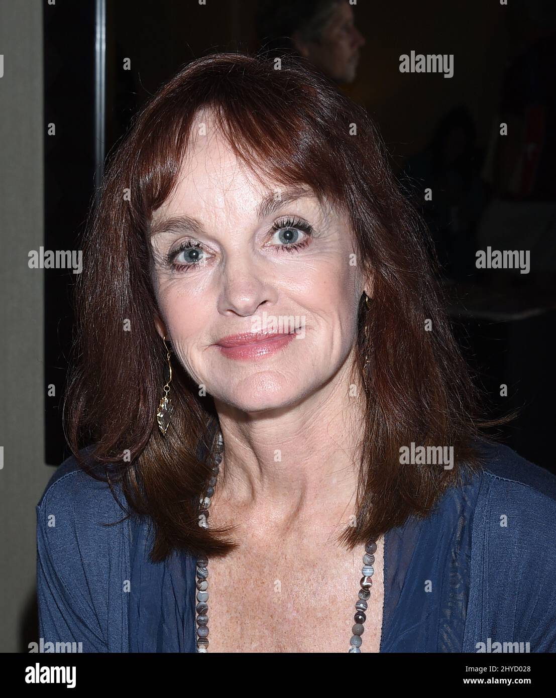 Pamela Sue Martin attending The Hollywood Show held at the Westin LAX Hotel Stock Photo