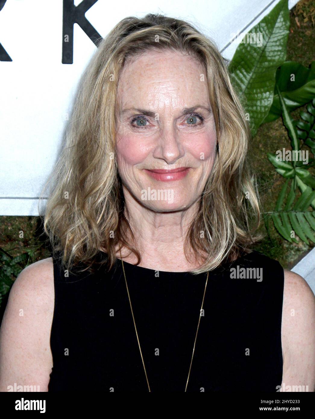 Lisa Emery attending the New York premiere of Ozark Stock Photo Alamy