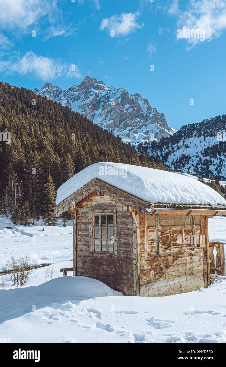 Closeup of a small house in a snowy forest Stock Photo - Alamy