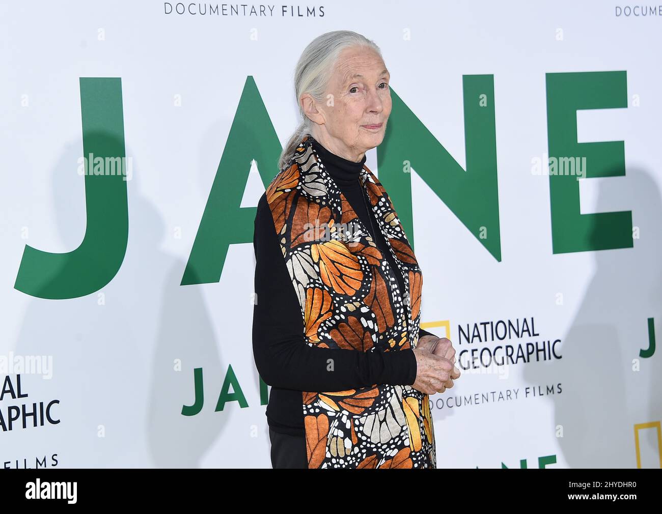 Jane Goodall attends the 'Jane' Premiere Screening held at theHollywood Bowl Stock Photo