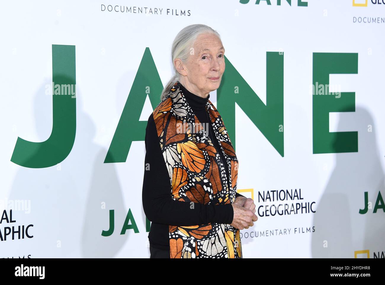 Jane Goodall attends the 'Jane' Premiere Screening held at theHollywood Bowl Stock Photo