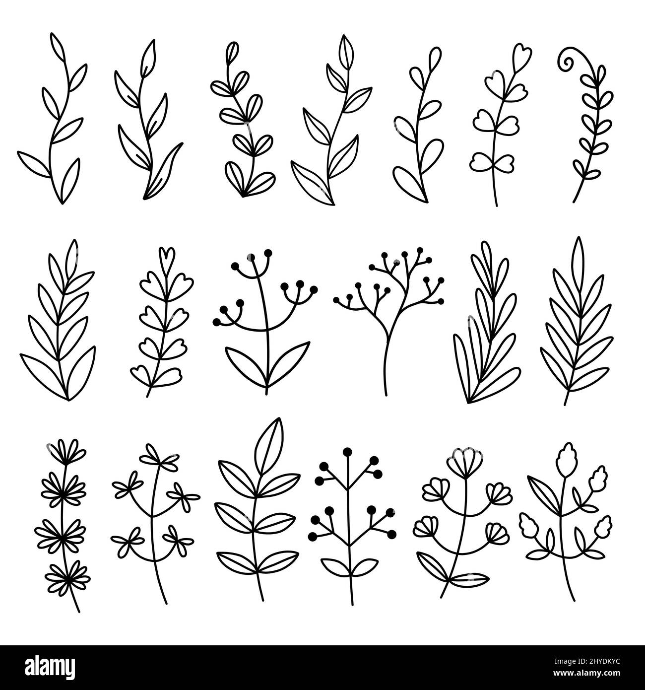 Hand drawn vector floral elements leaves, branches Stock Vector Image ...
