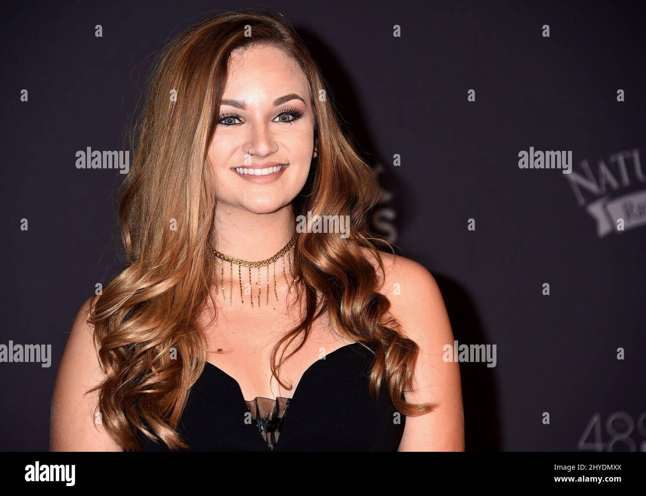Hollyn attending at the 48th Annual GMA Dove Awards held at the Lipscomb University's Allen Arena in Los Angeles, USA Stock Photo