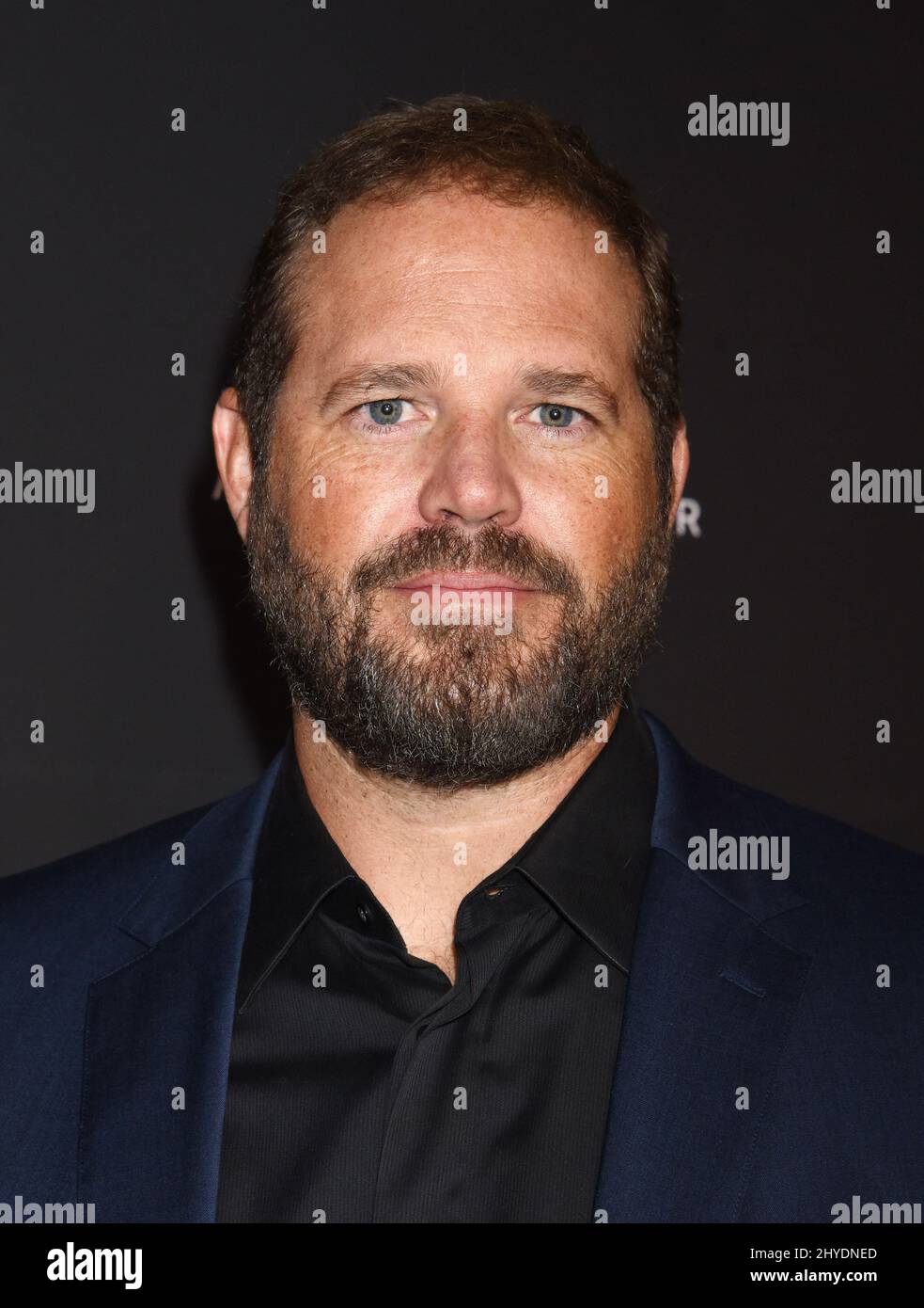 David Denman attending the 7th Annual Baby Ball Gala held at the Neuehouse Hollywood Stock Photo