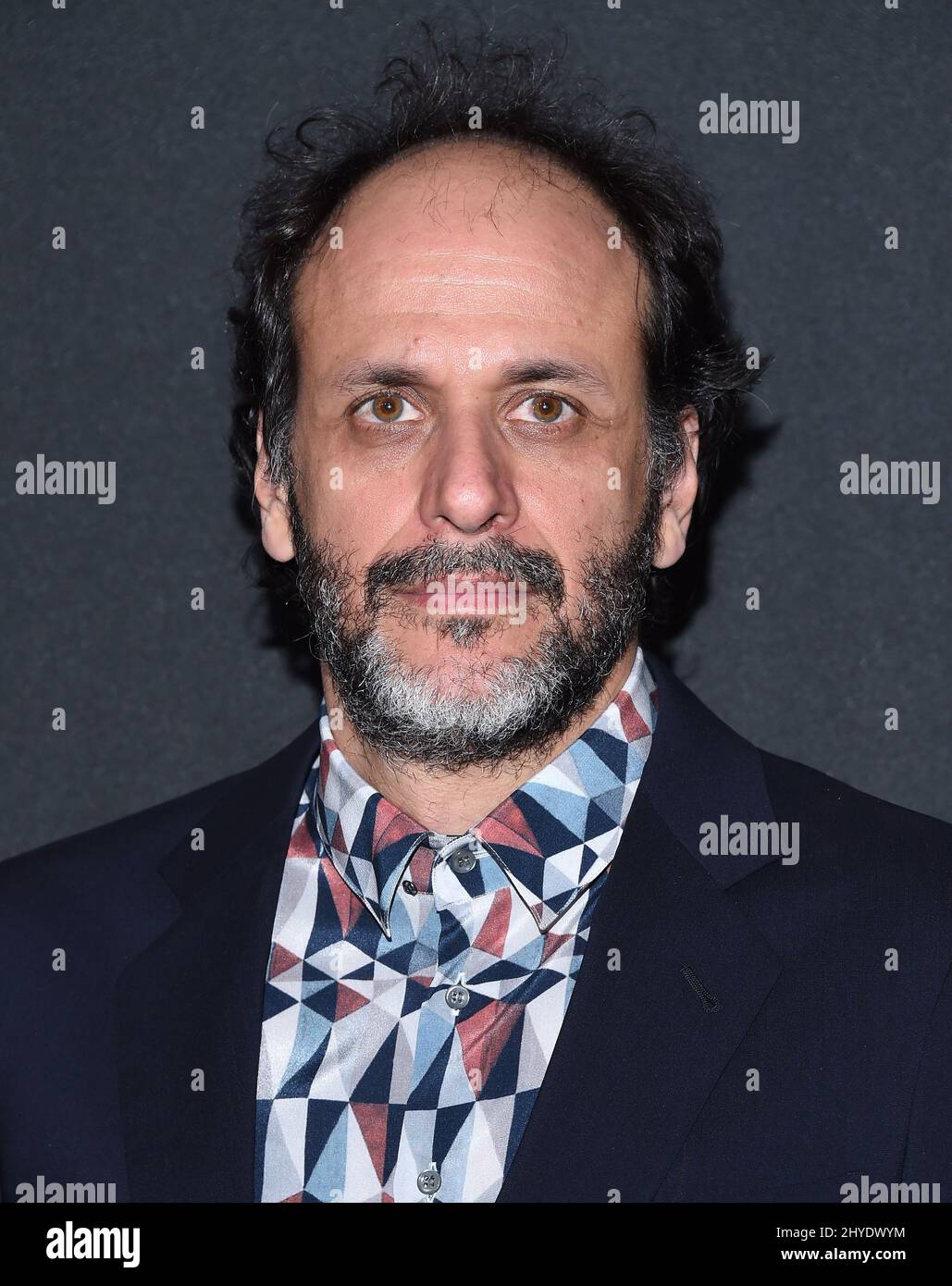 Luca Guadagnino attending the 21st Annual Hollywood Film Awards held at the Beverly Hilton Hotel Stock Photo