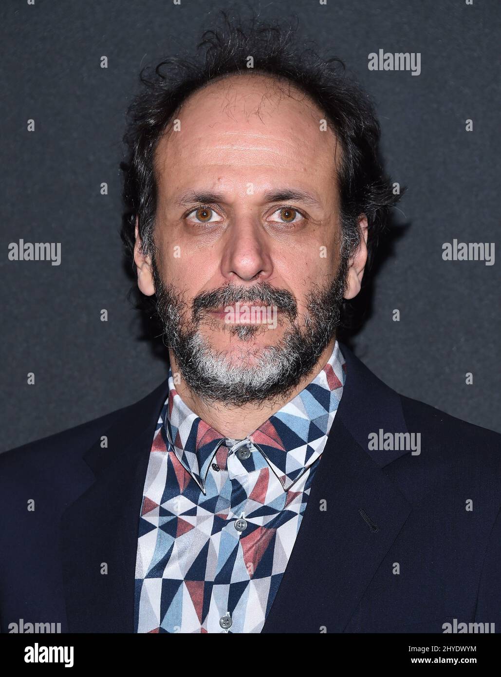 Luca Guadagnino attending the 21st Annual Hollywood Film Awards held at