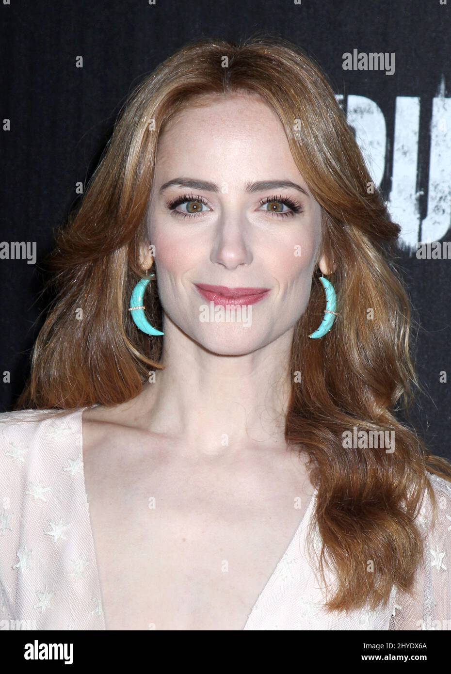 Jaime Ray Newman attending the "Marvel's The Punisher" New York