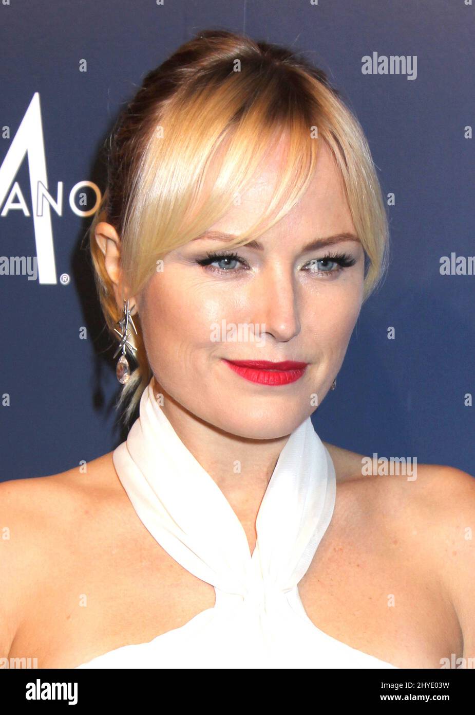 Malin Akerman attending The Humane Societys 'To the Rescue' Gala held