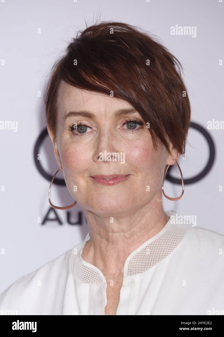 Laura Innes Laura Innes at 24th Hall of Fame Ceremony Celebrates Television Legends ...