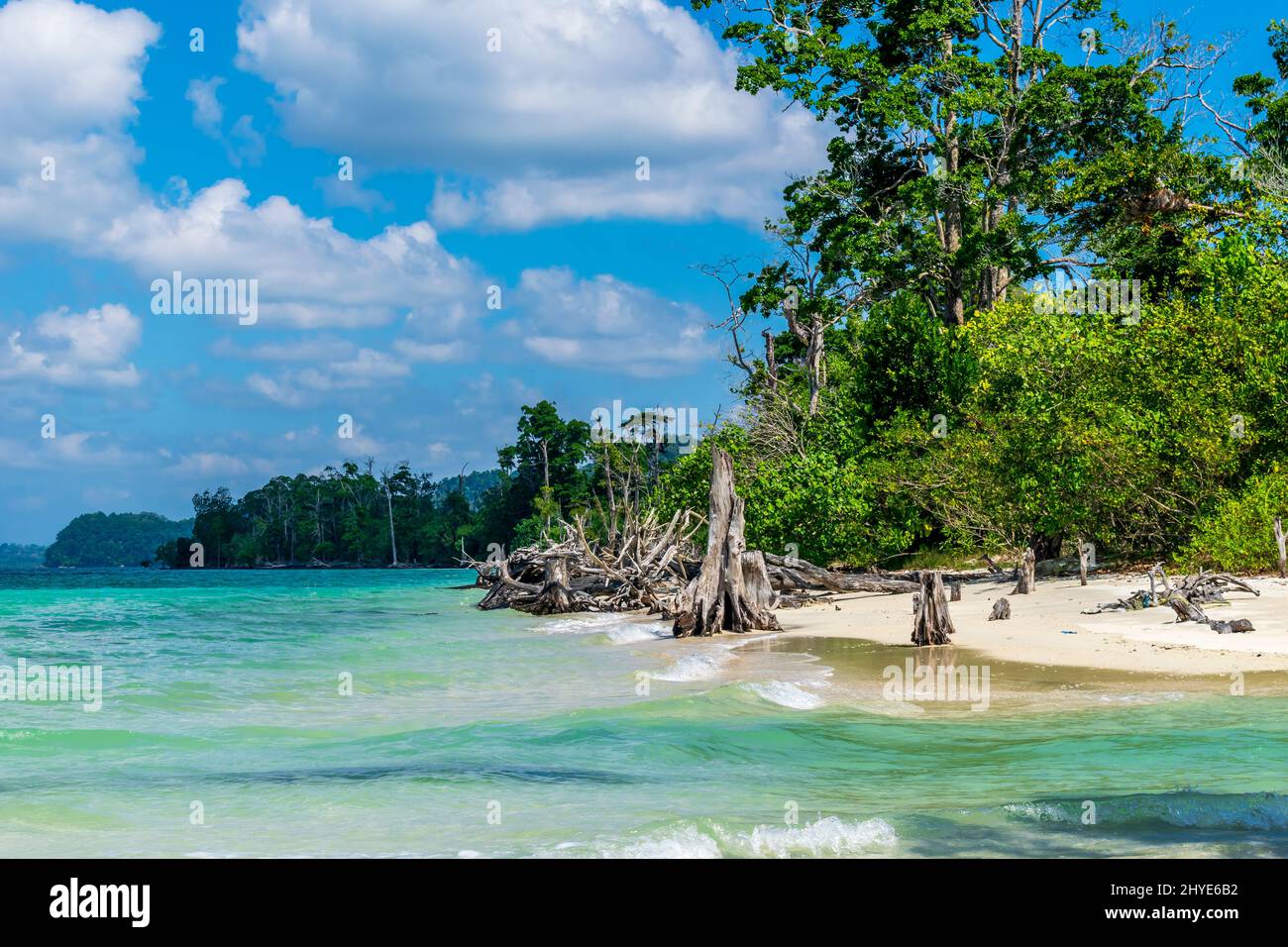 Havelock Island: Permata Tersembunyi di Kepulauan Andaman, India