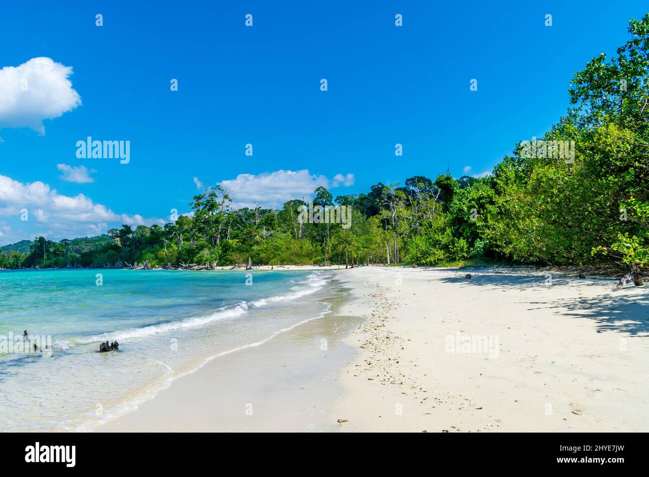 Elephant Beach, Havelock Island, Andaman, India Stock Photo