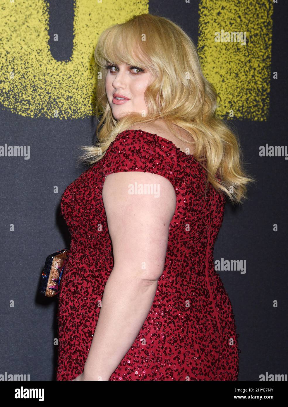 rebel wilson red dress Rebel Wilson How To Be Single premiere red dress New York