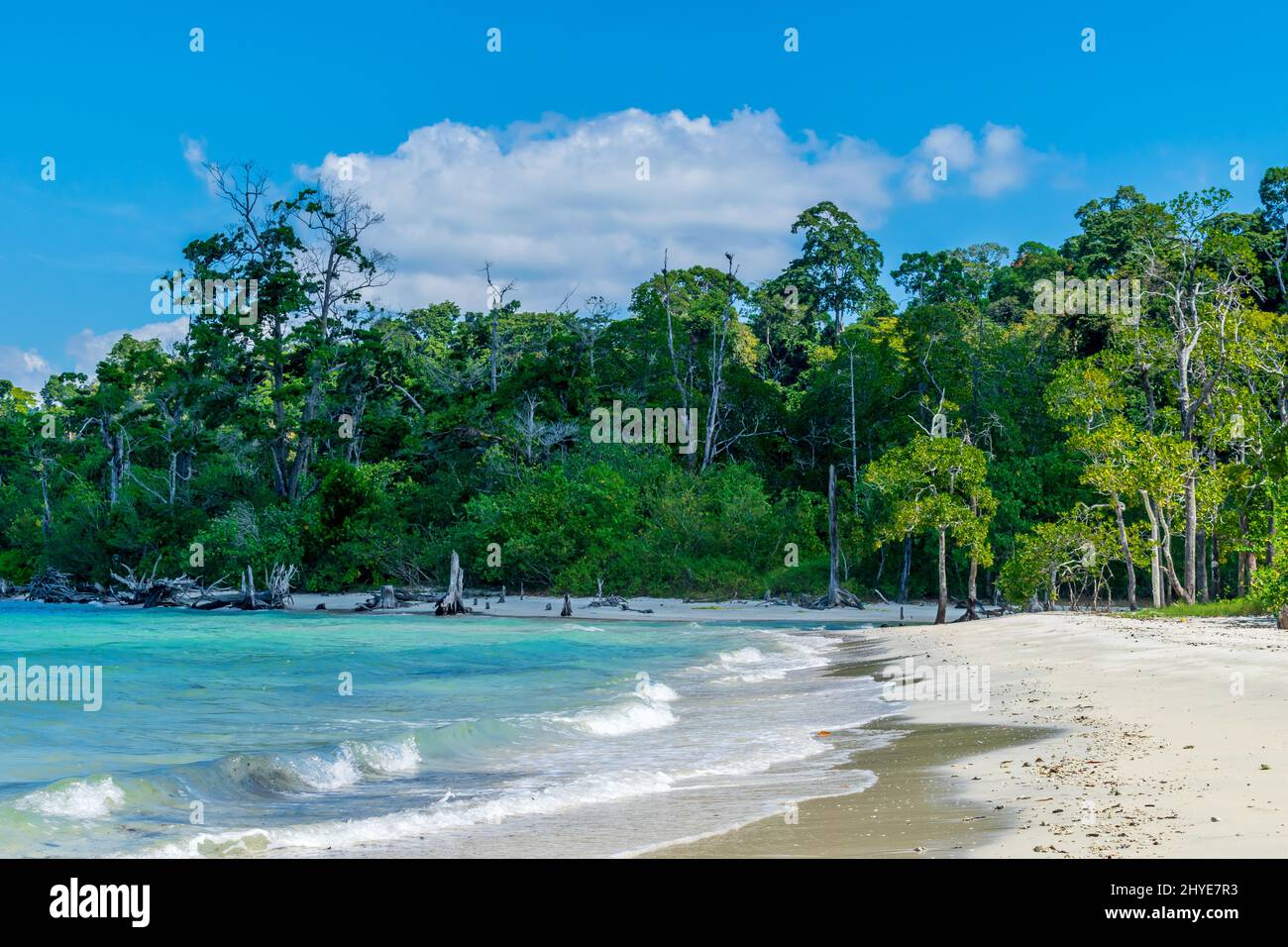 Elephant Beach, Havelock Island, Andaman, India Stock Photo