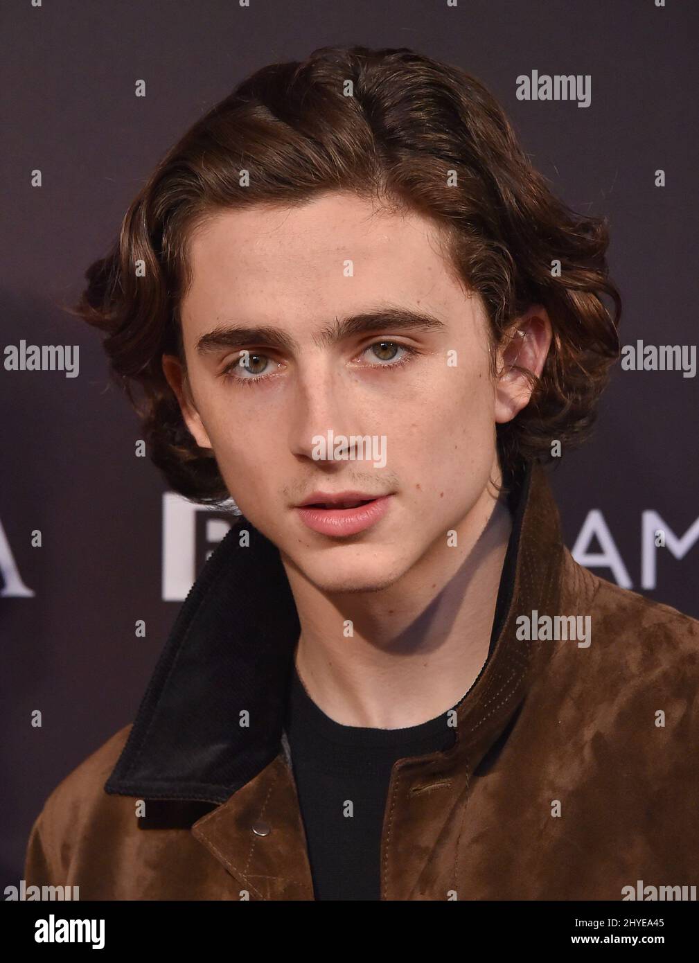 Timothee Chalamet at the BAFTA Los Angeles Tea Party 2018 event at Four ...