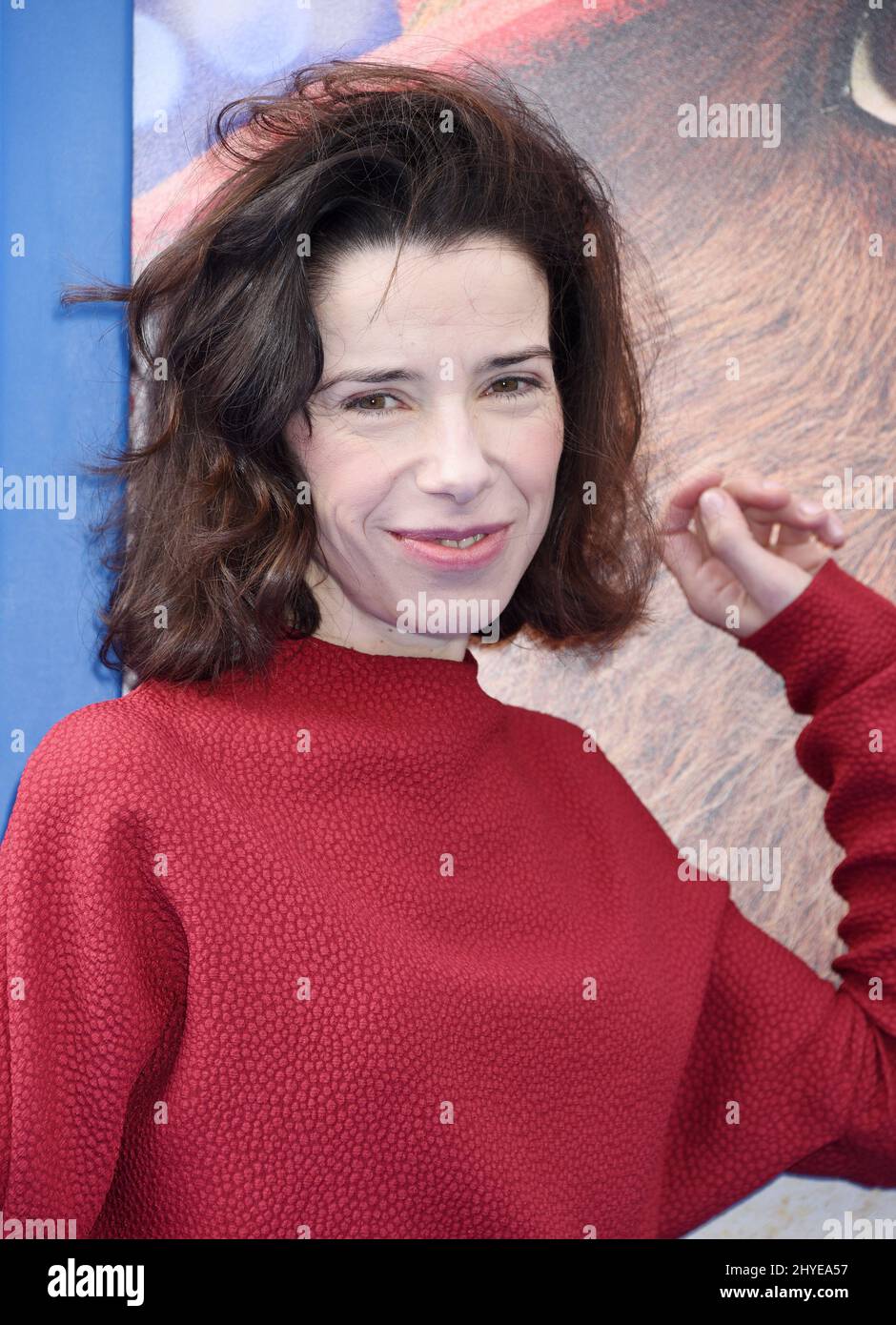Sally Hawkins at "Paddington 2" U.S. Premiere held at the Regency