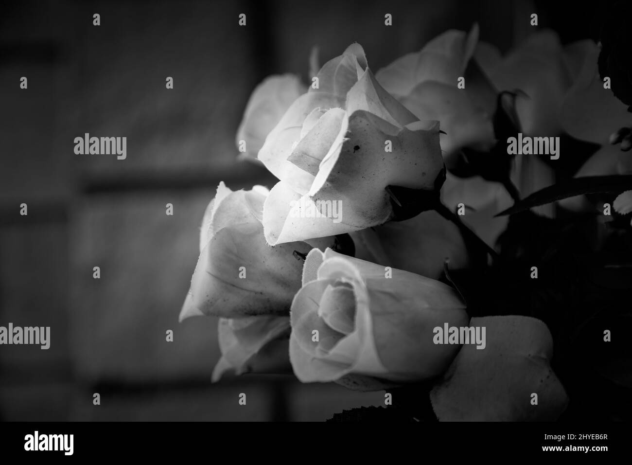 Detail of flowers to remember the dead Stock Photo Alamy