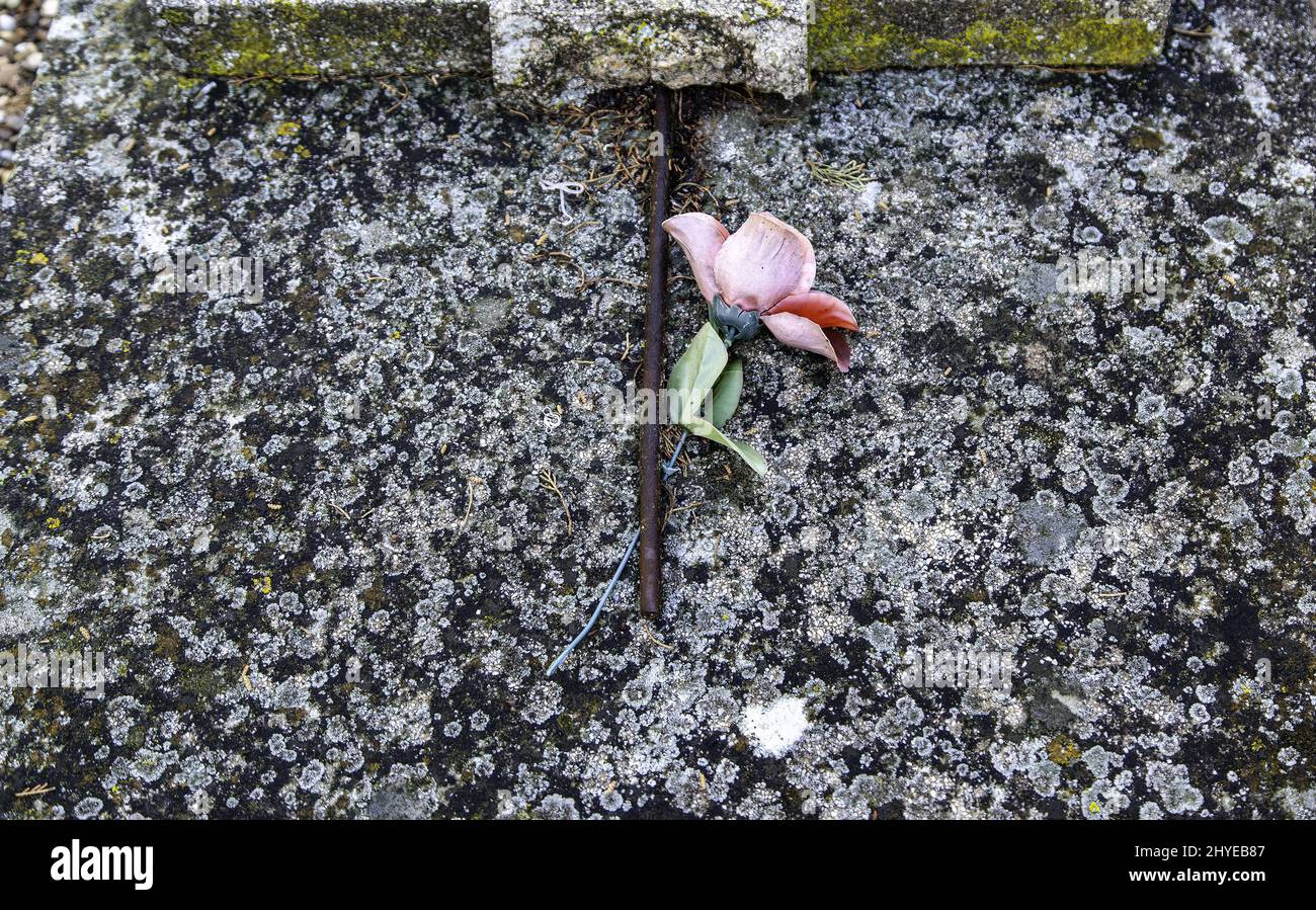 Detail of flowers to remember the dead Stock Photo Alamy