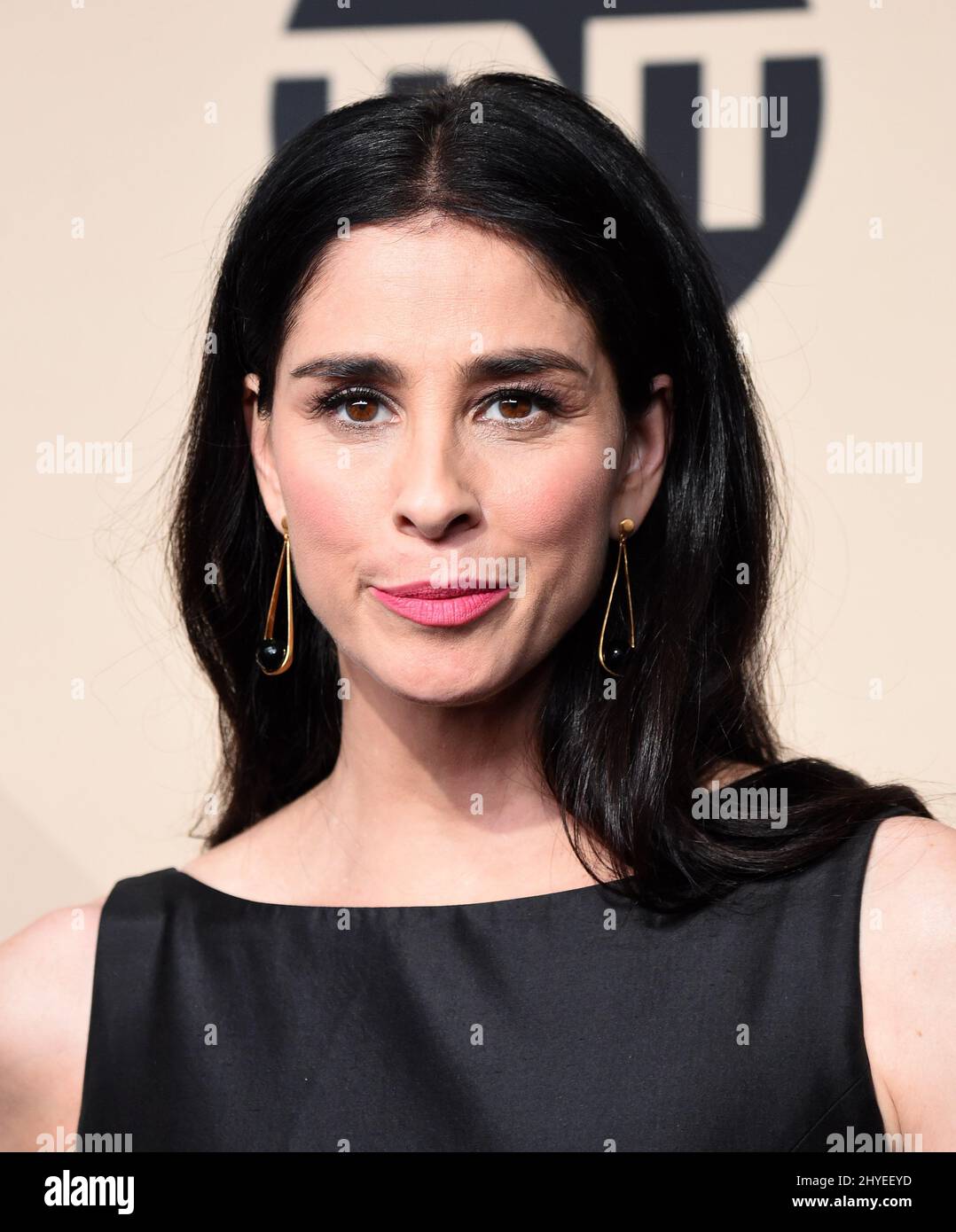 Sarah Silverman attending the 24th Annual Screen Actors Guild Awards