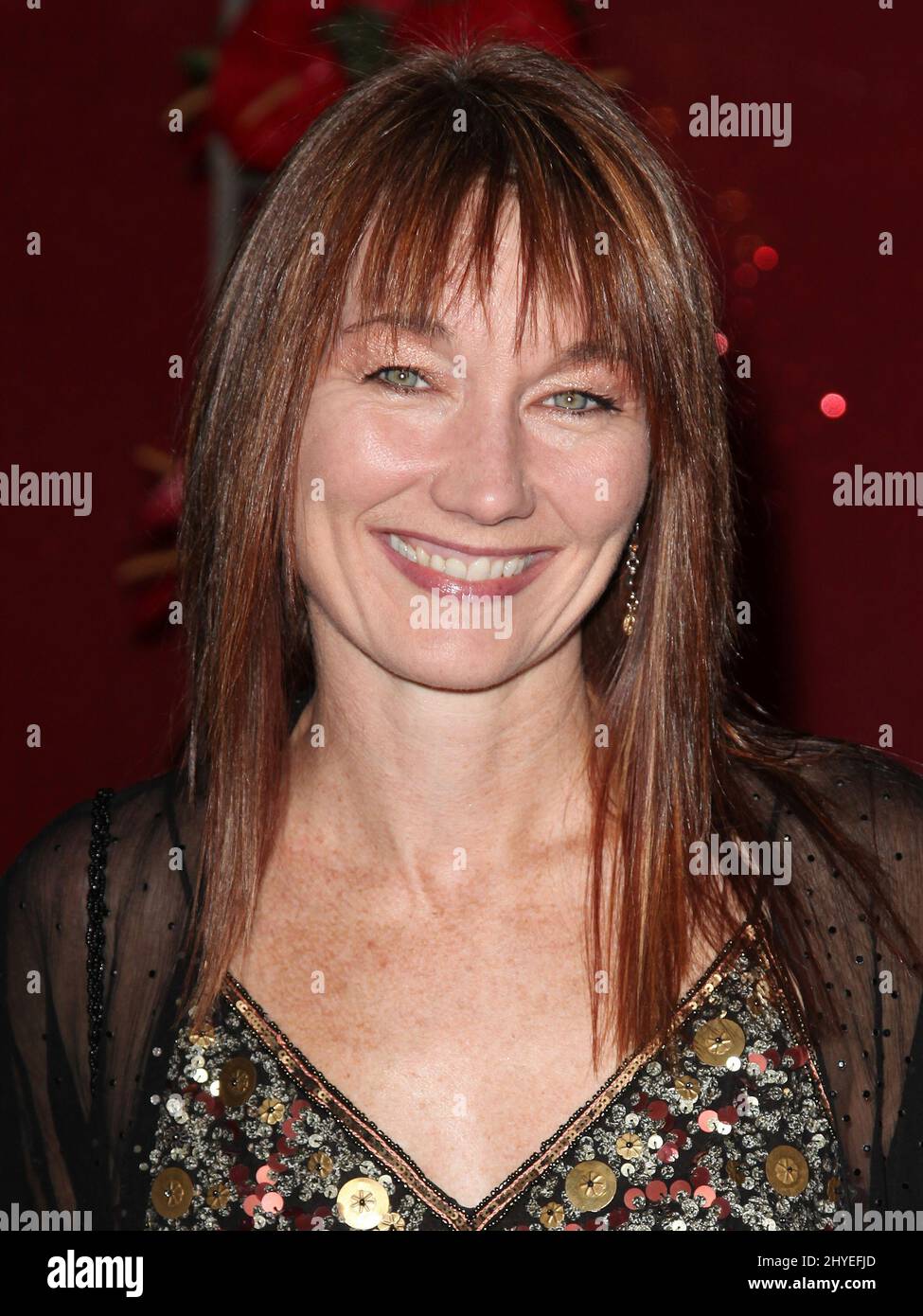Country singer songwriter Lari White passed away today from cancer. November 9, 2010 Nashville, Tn. Lari White 58th Annual BMI Country Awards held at the BMI Music Row offices Stock Photo
