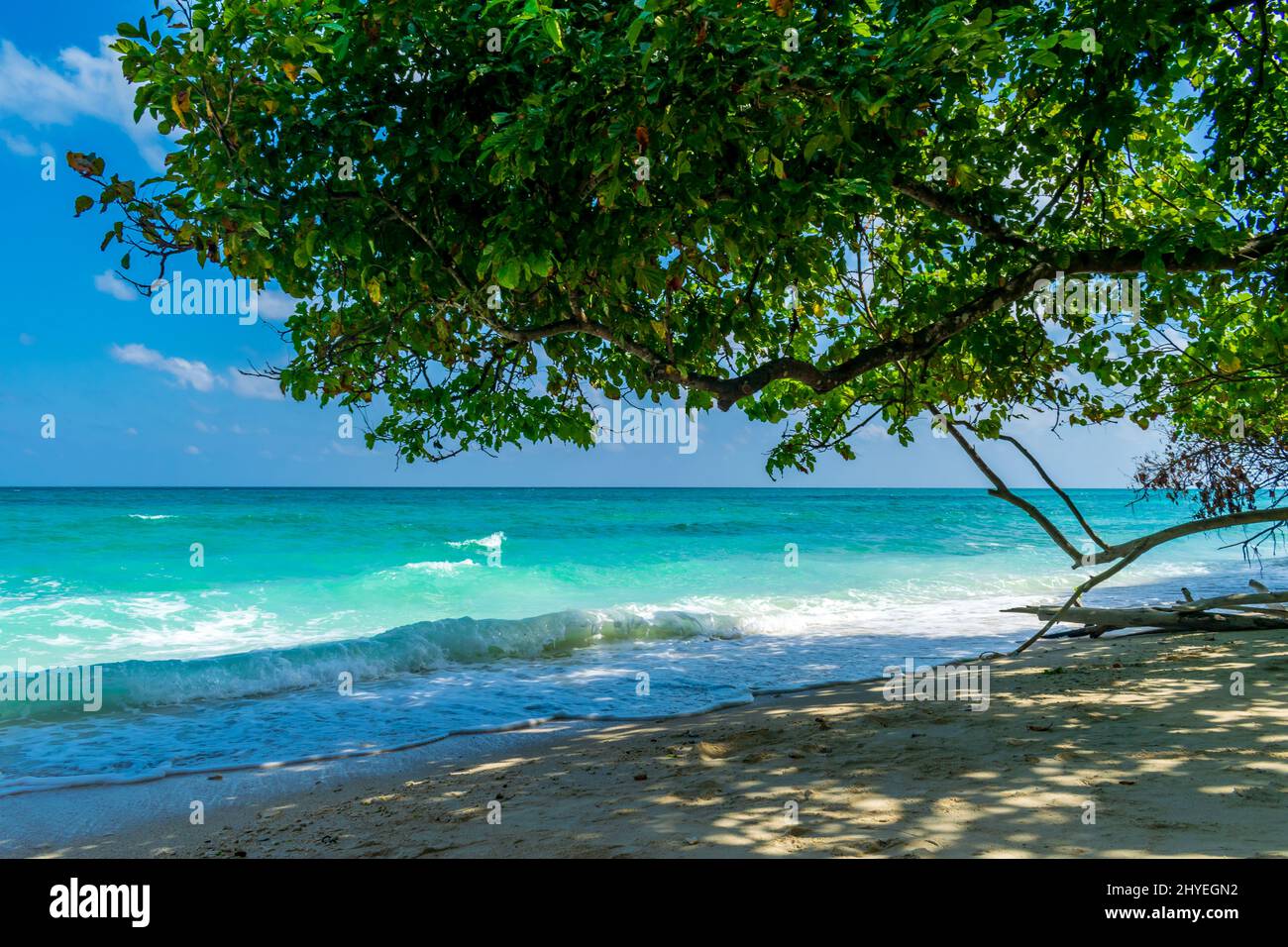 Shades on the beach, Kalapathar Beach, Havelock Island, Andaman, India Stock Photo