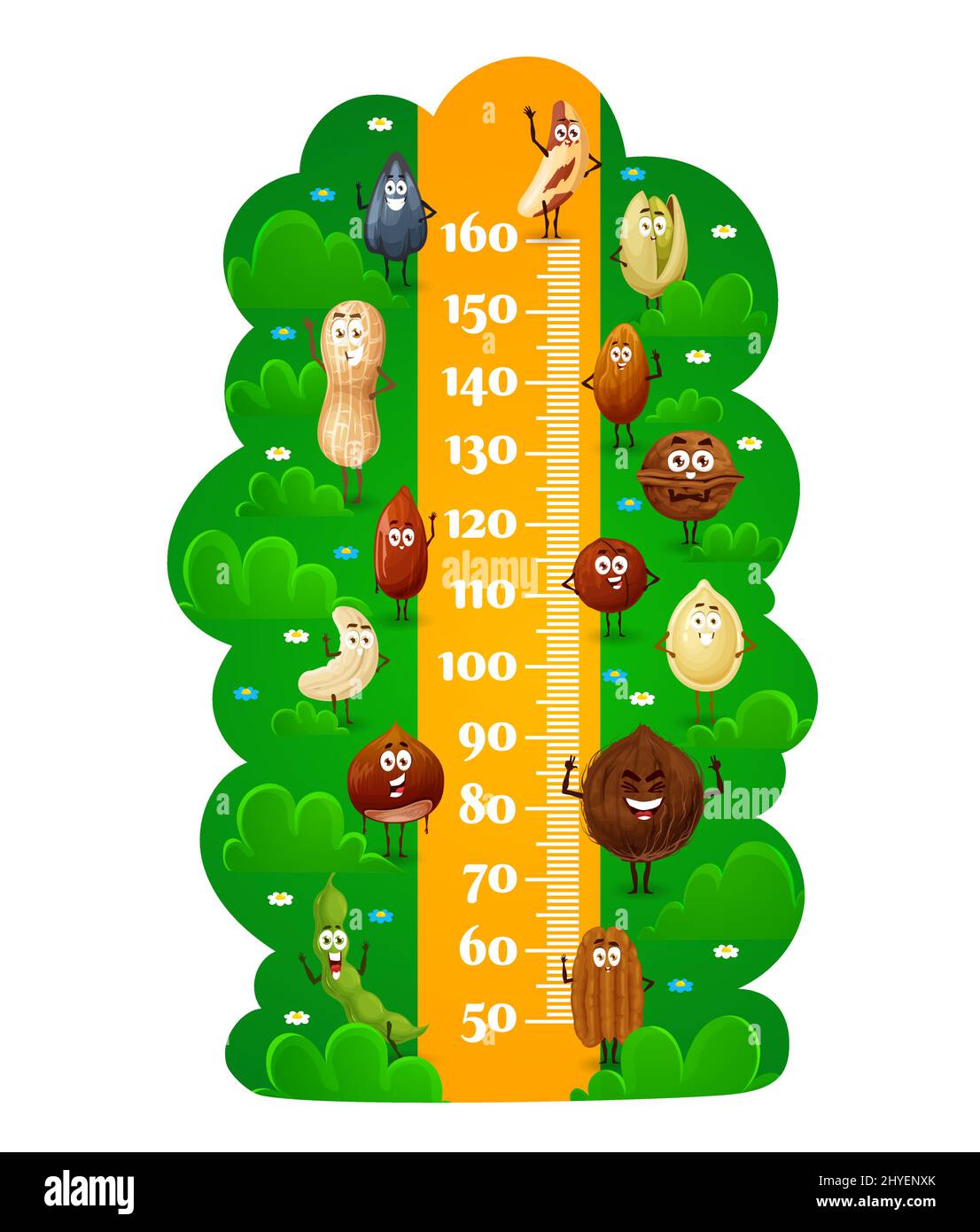Height Chart In Inches in PDF - Download