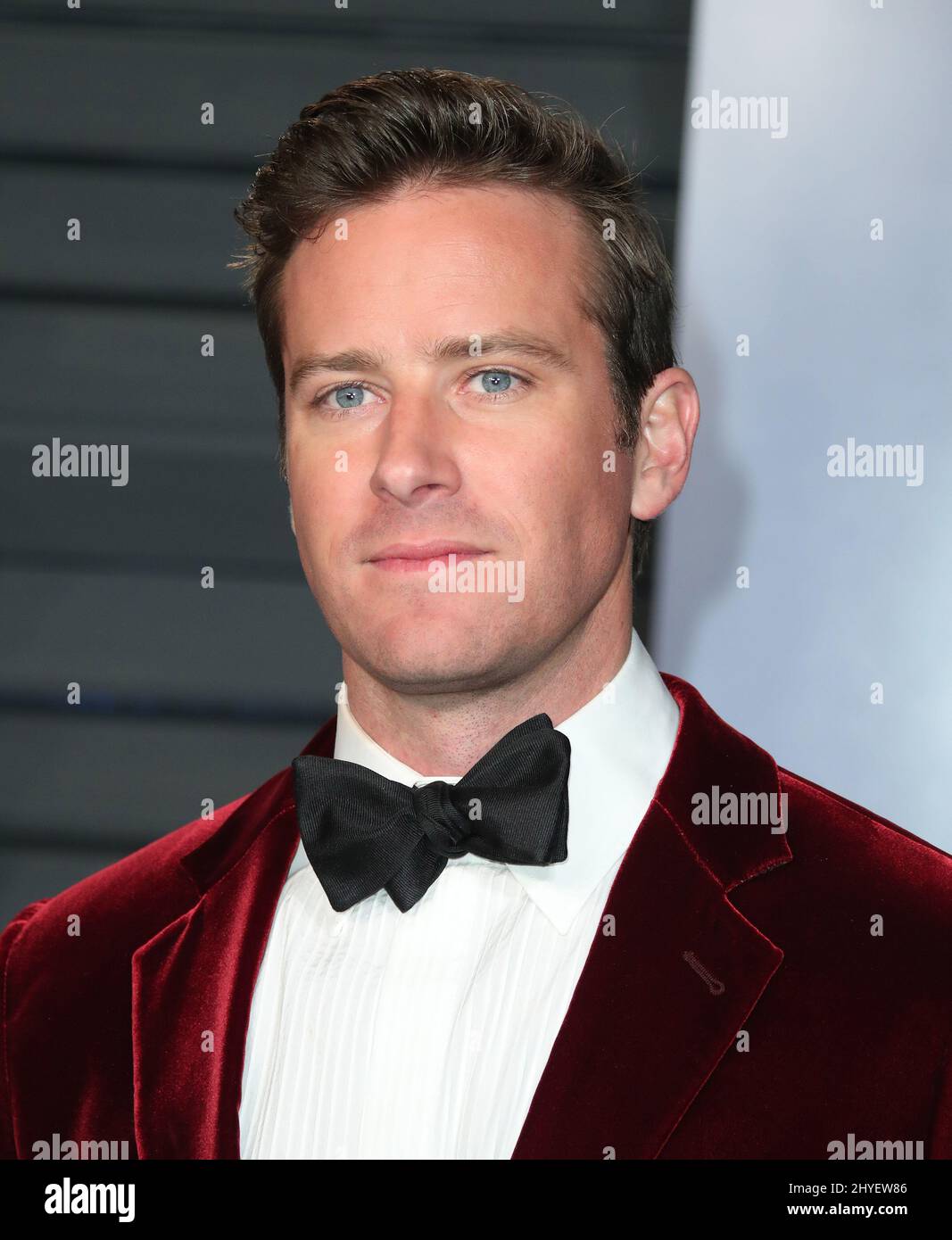 Armie Hammer at the 2018 Vanity Fair Oscar Party hosted by Radhika ...