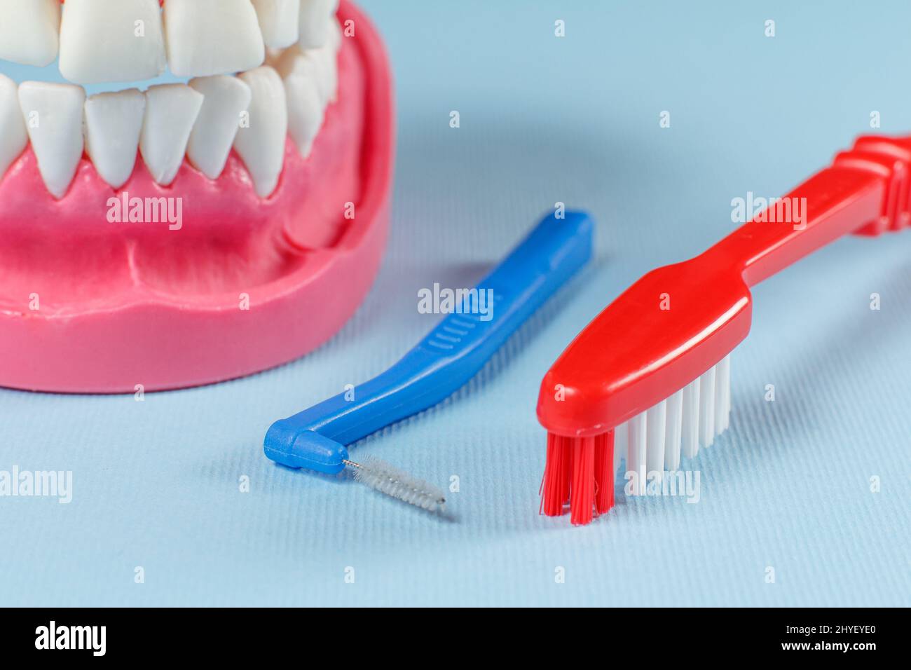 Close-up view of a toothbrush, an interdental brush and a human jaw ...