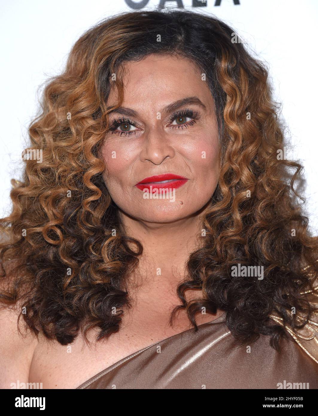 Tina Knowles attending The Annual Wearable Art Gala by WACO Arts Center, Where Art Can Occur