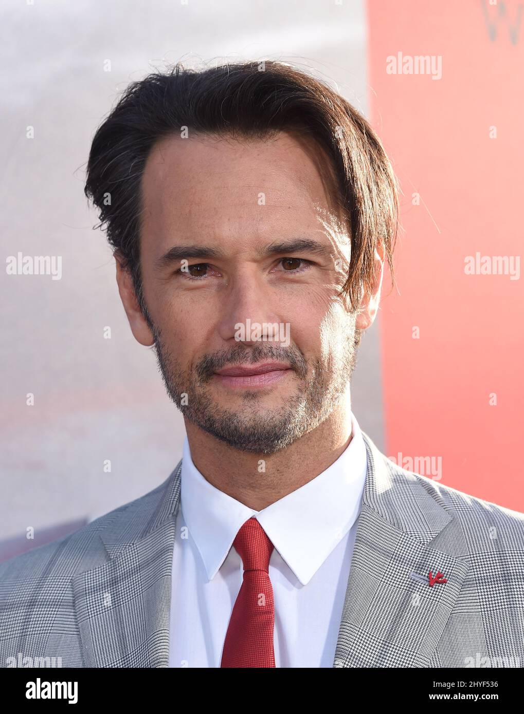 Rodrigo Santoro at the Los Angeles Season 2 premiere of the HBO drama series 'Westworld' held at the Cinerama Dome Hollywood on April 16, 2018 in Hollywood, CA. Stock Photo