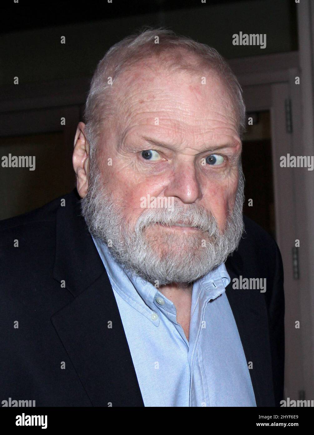 Brian Dennehy attending the Tribeca Film Festival premiere of The