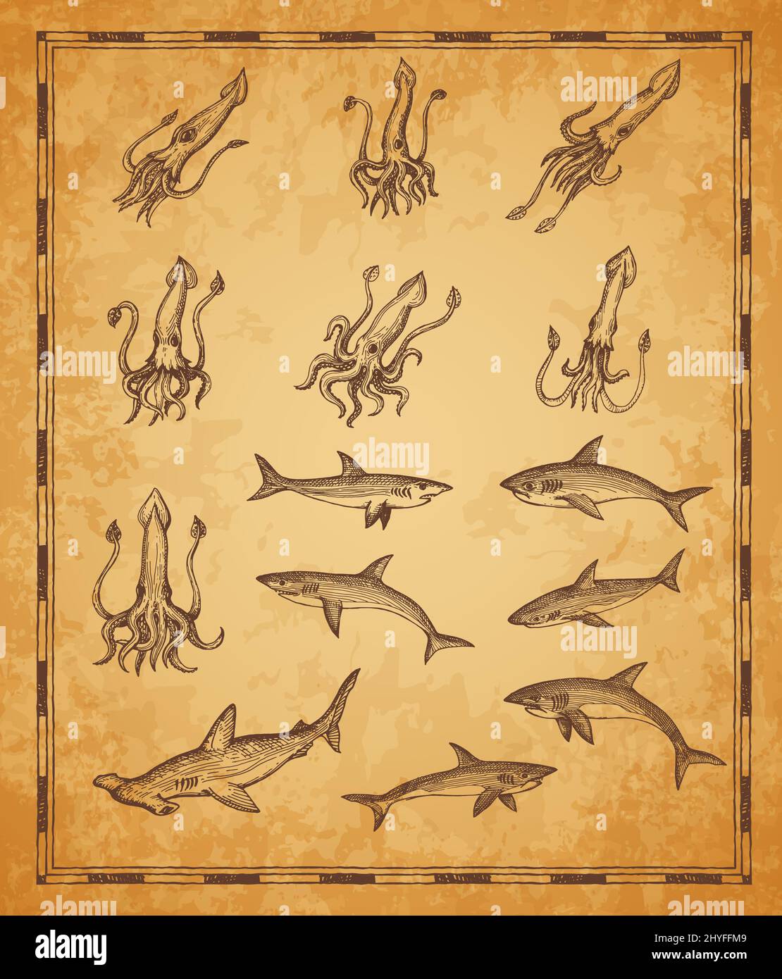 Old Nautical Map Sea Monster